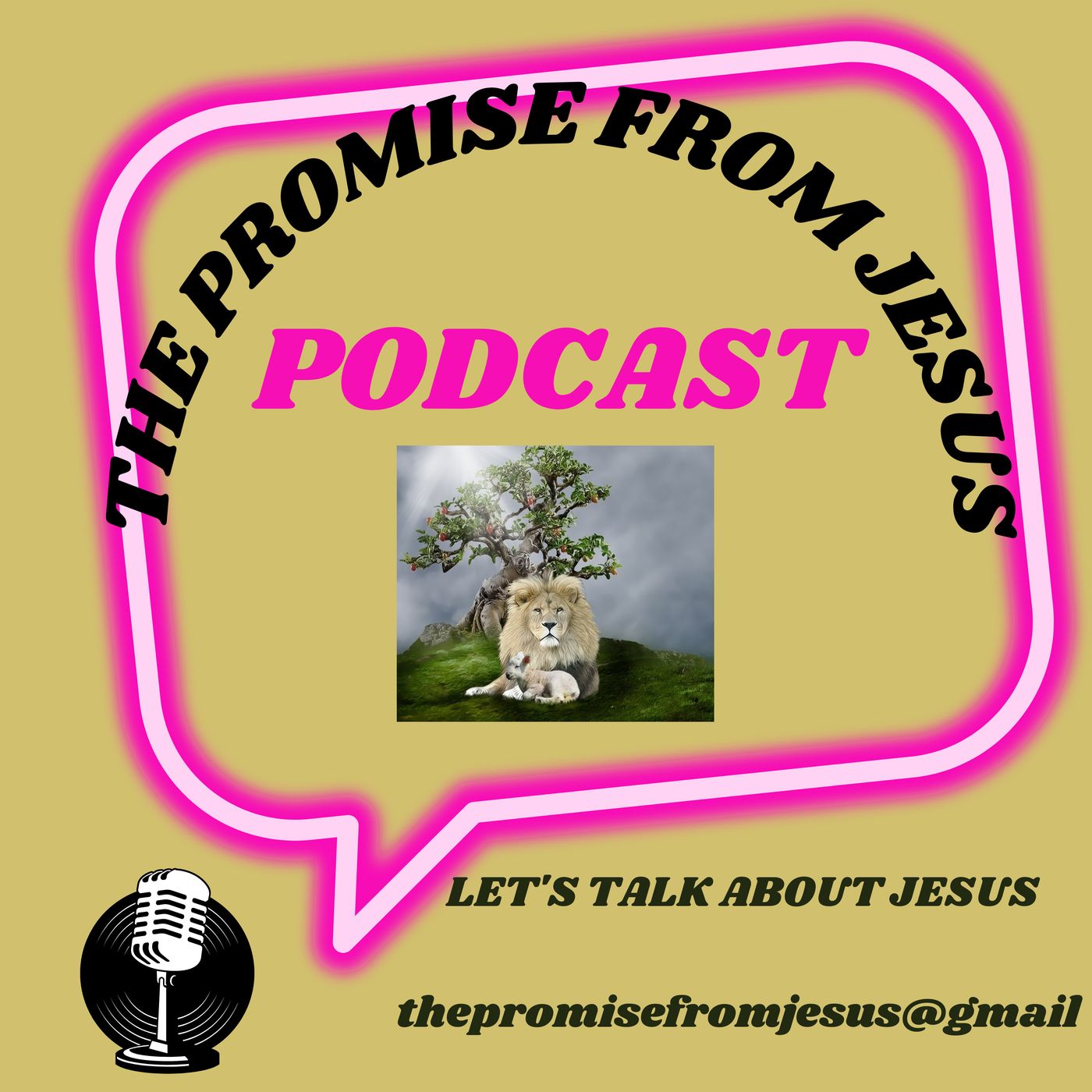 The Promise from Jesus #2
