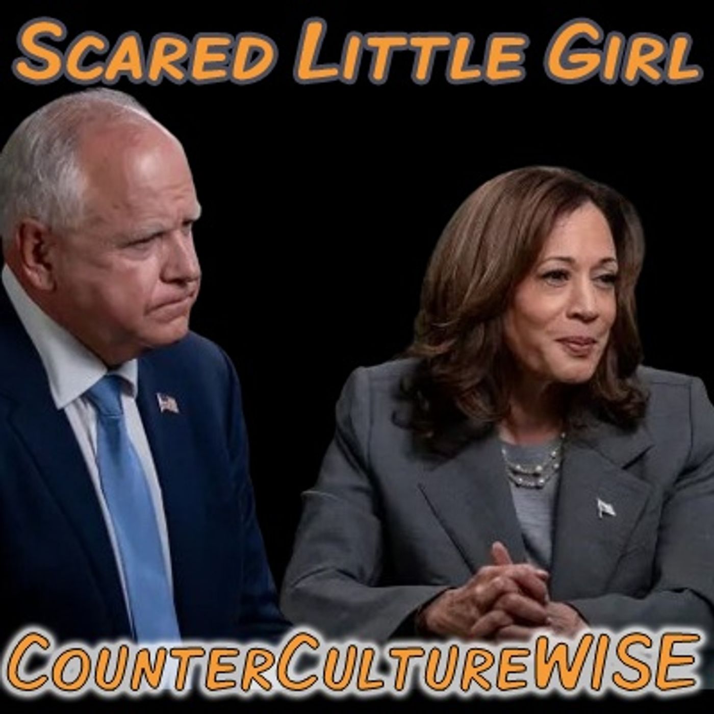 CounterCultureWISE