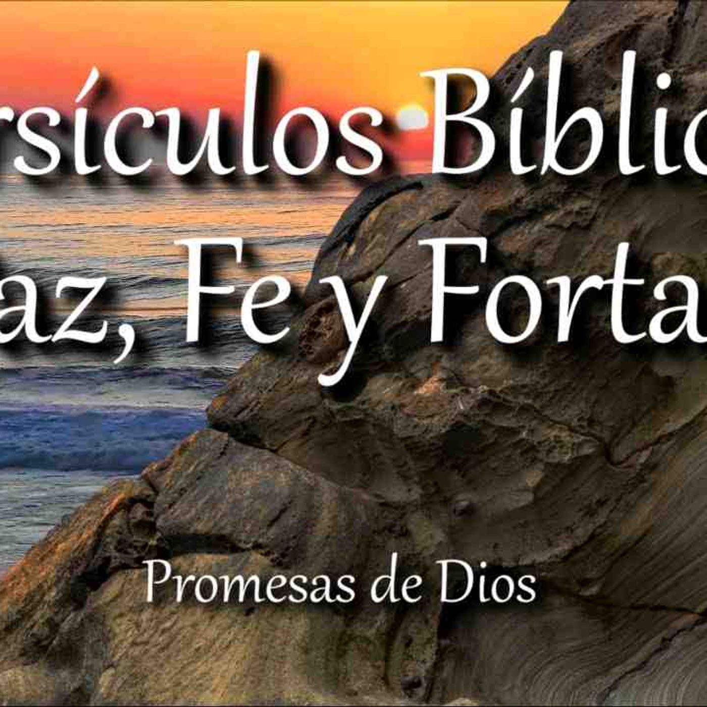 Versículos  Bíblicos que te llenarán de Paz_ Fe y Fortaleza _ Biblia hablada _ Bible audio(MP3_160K)_1 episode artwork