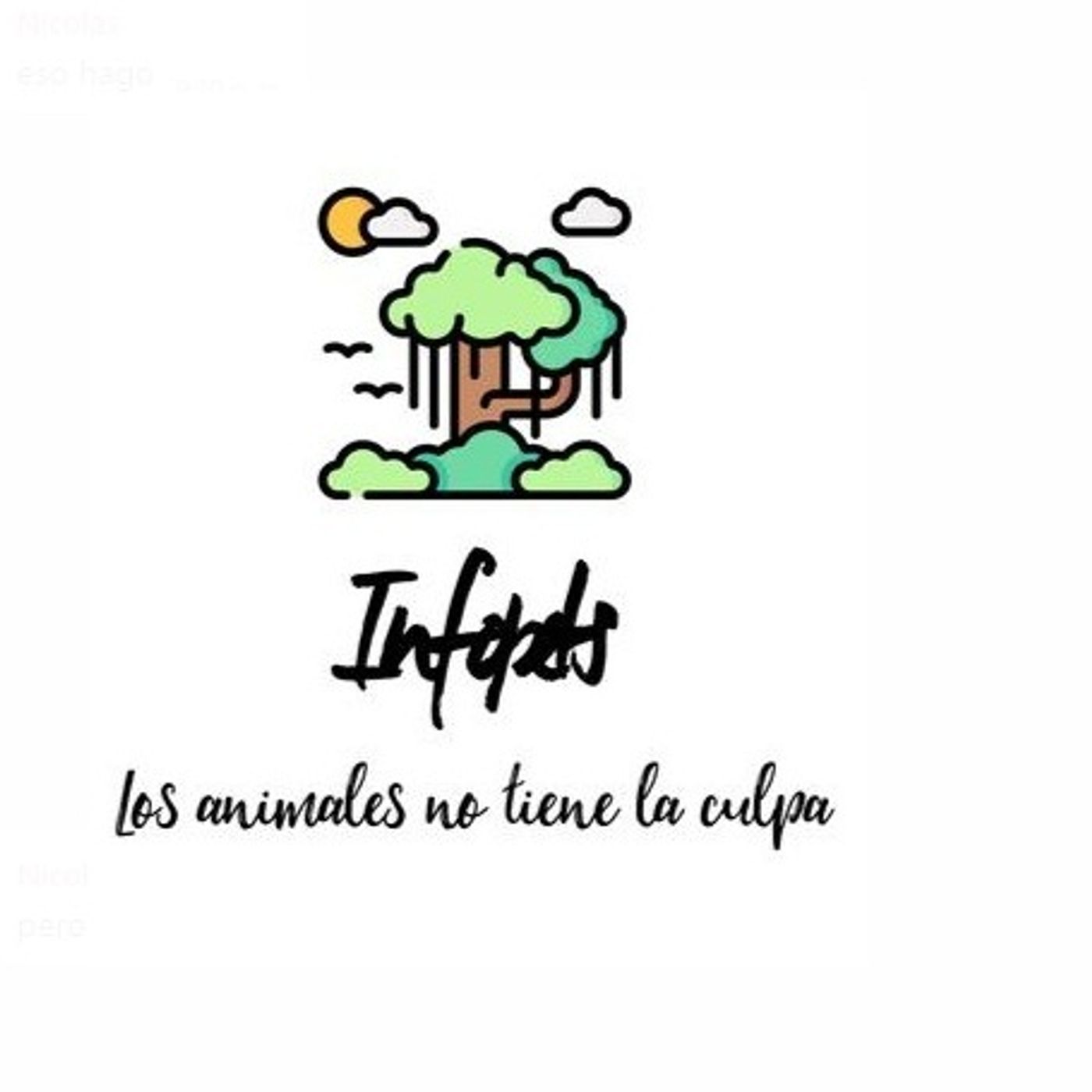 Infopets podcast artwork