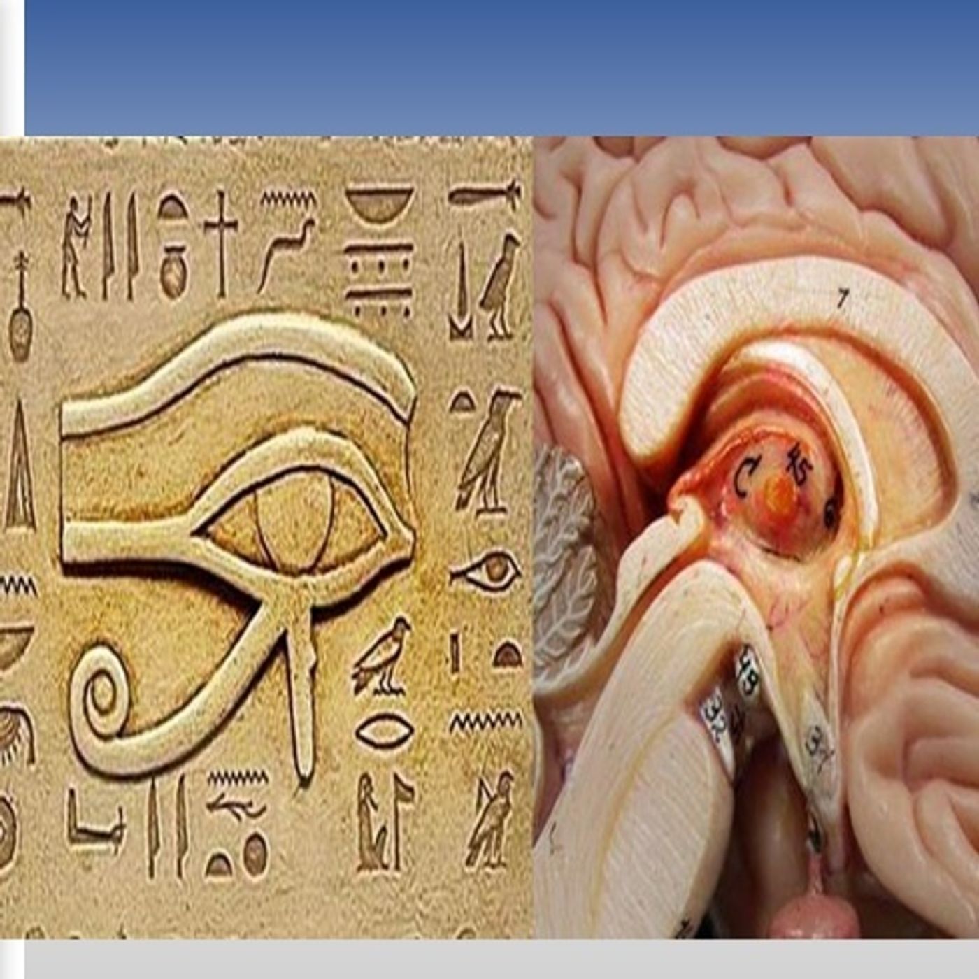 Portada de Conexion Pineal.