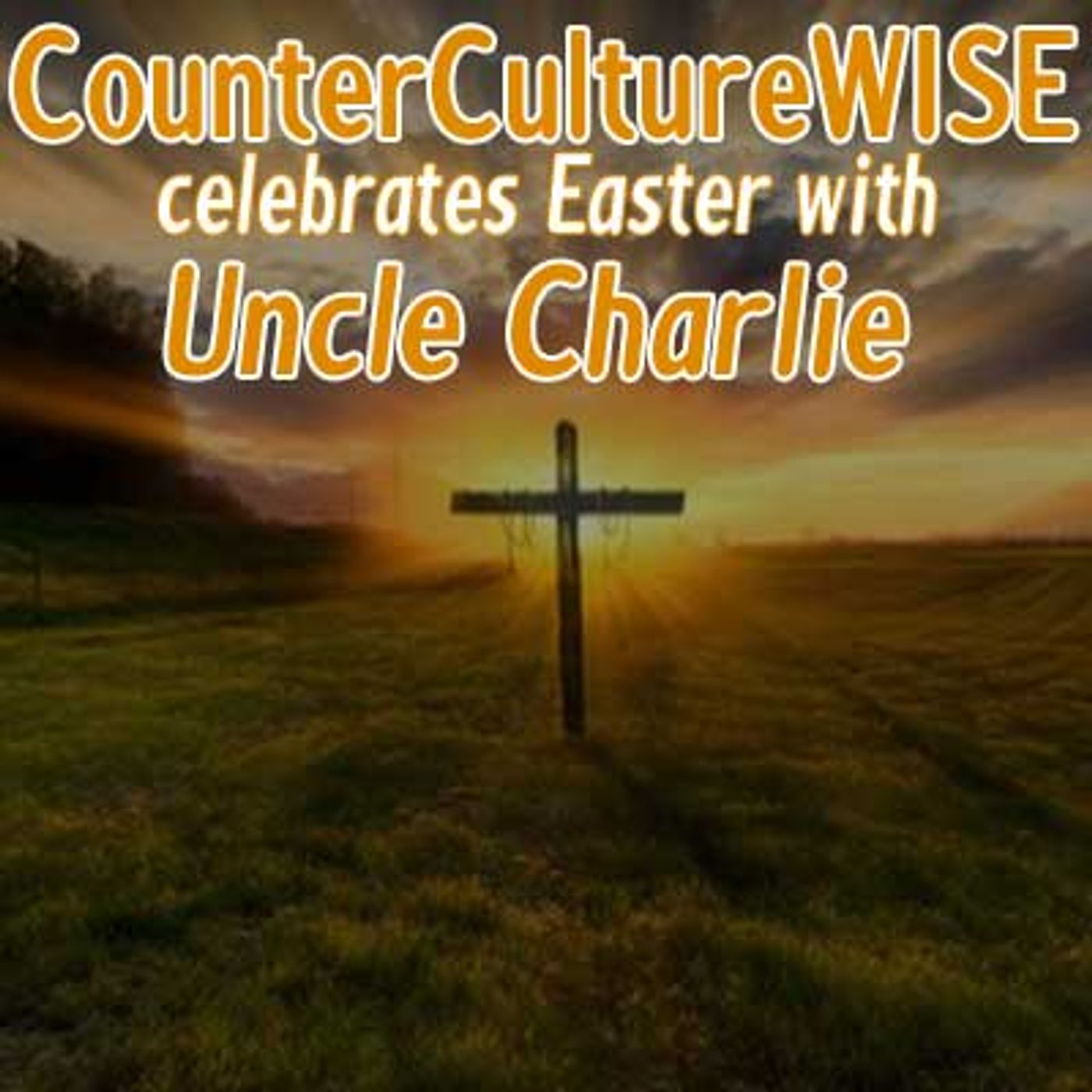 CounterCultureWISE
