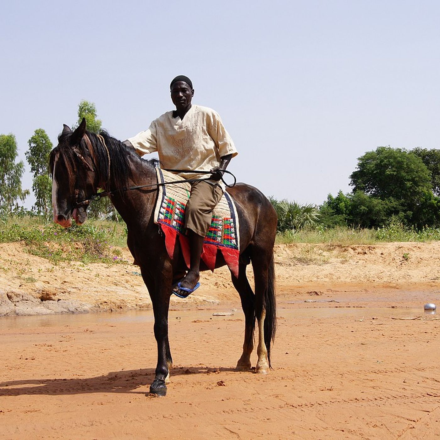 Le cheval, entre tradition et prestige dans la société zarma ( Magazine) episode artwork