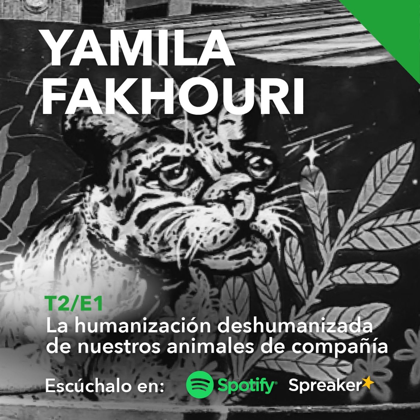 Yamila Fakhouri