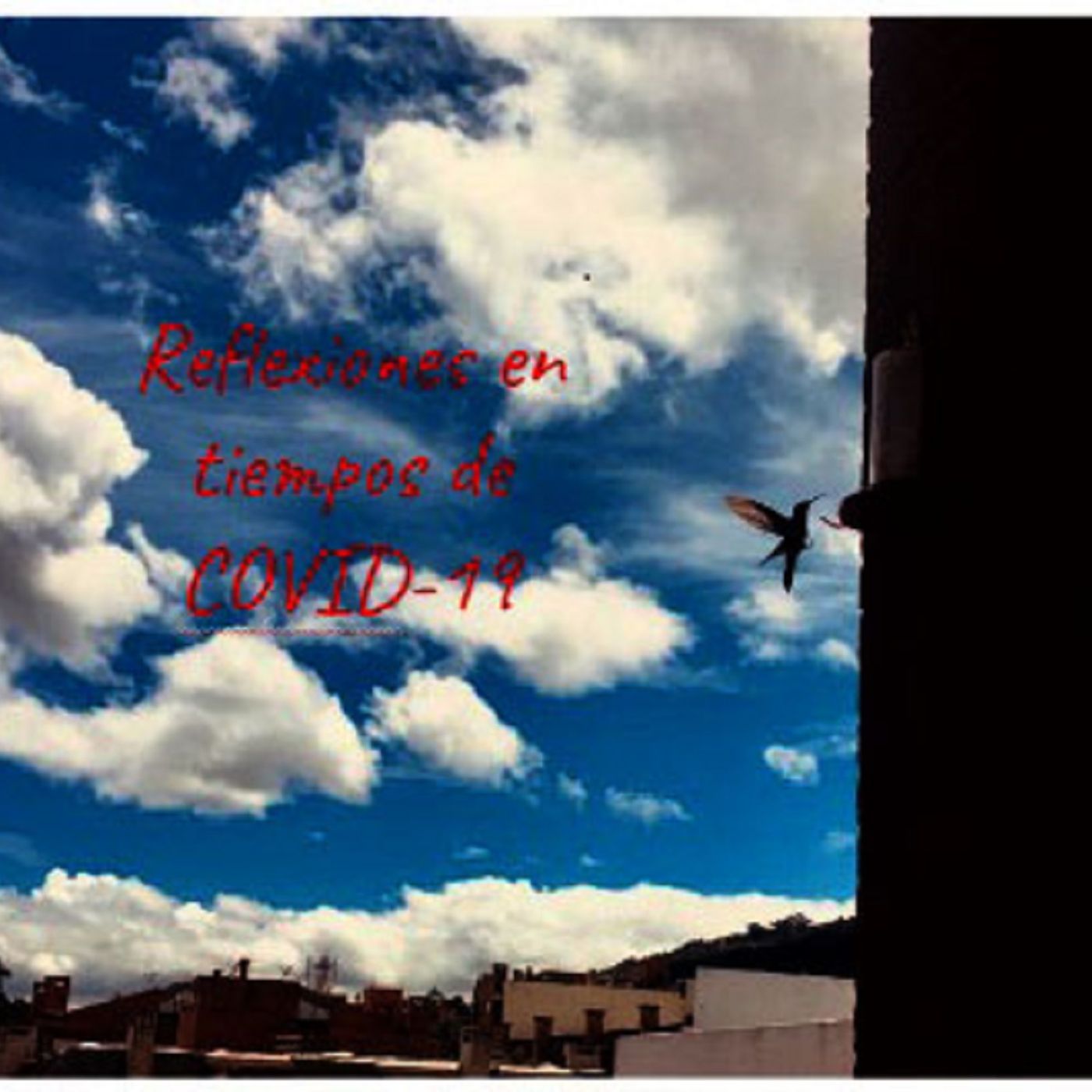 Reflexiones en tiempos de COVID- 19