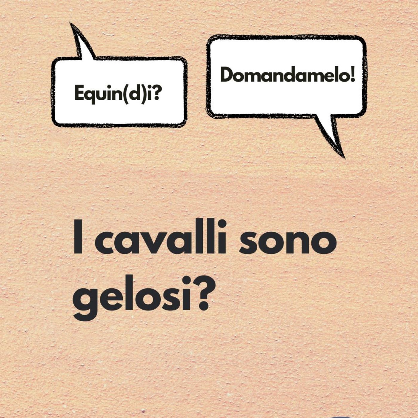 Etologia Equina, il comportamento del cavallo