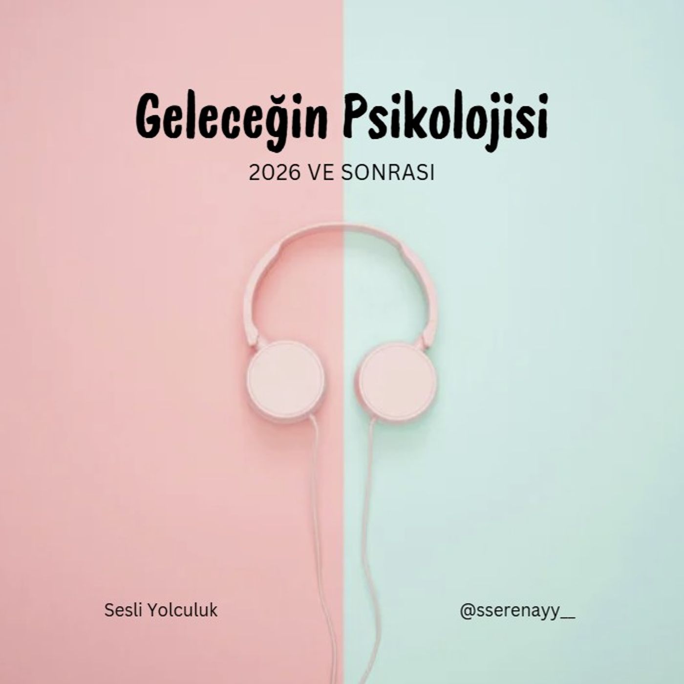 Aynı Gelecek, Farklı Kaygılar episode artwork