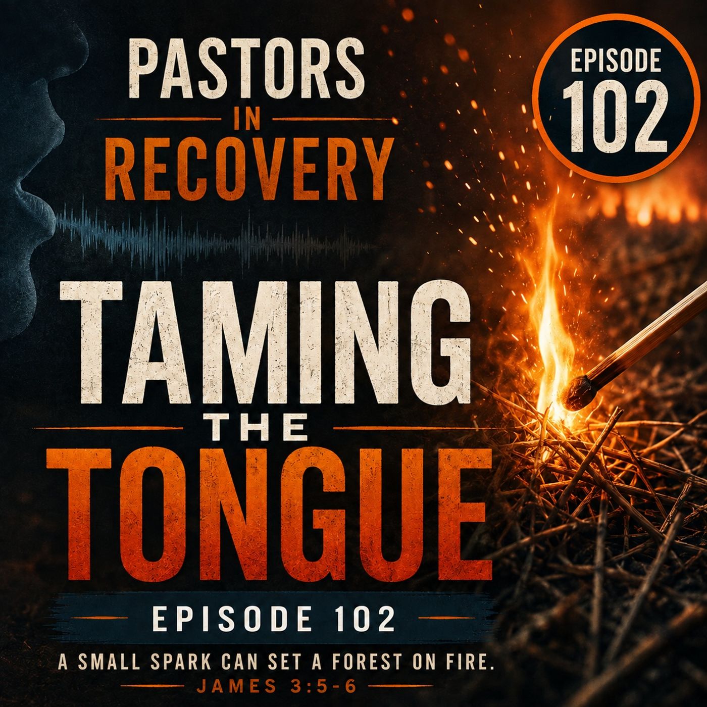 Episode 102 - Taming the Tongue | + Original Song "Why?" episode artwork