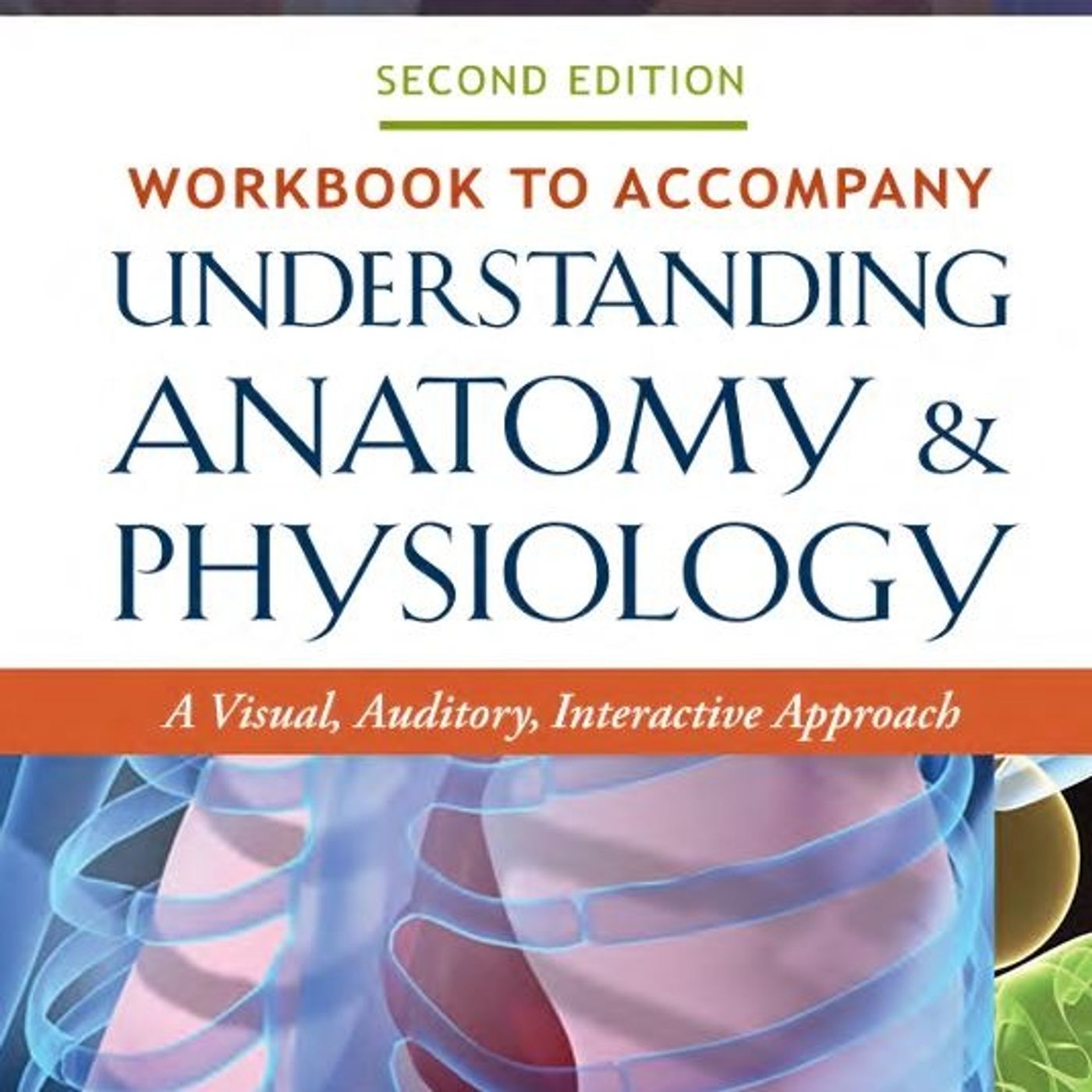Understanding Anatomy & Physiology: A Visual, Auditory, Interactive Approach: A Visual, Auditory, Interactive Approach episode artwork