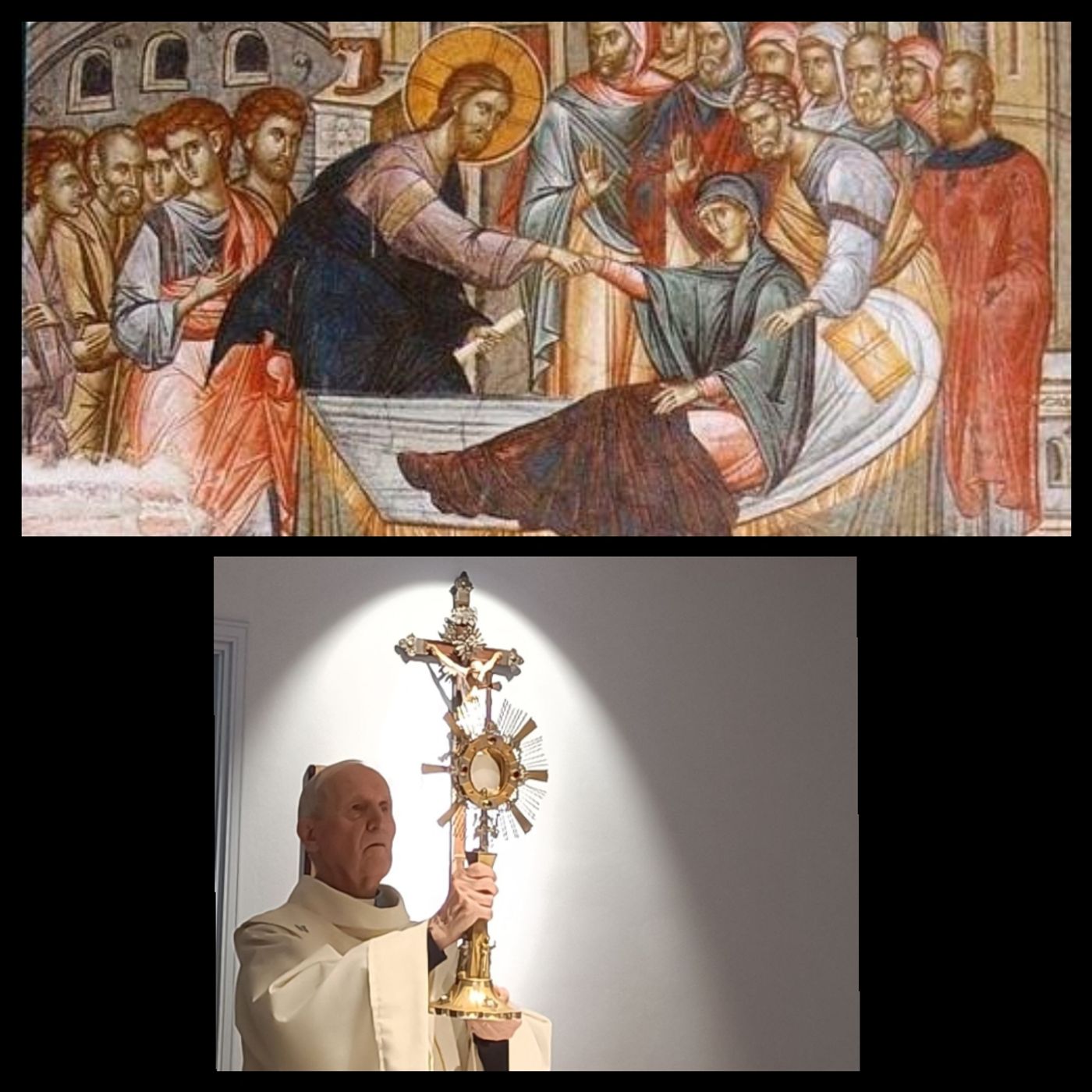 Padre Francesco Peyron