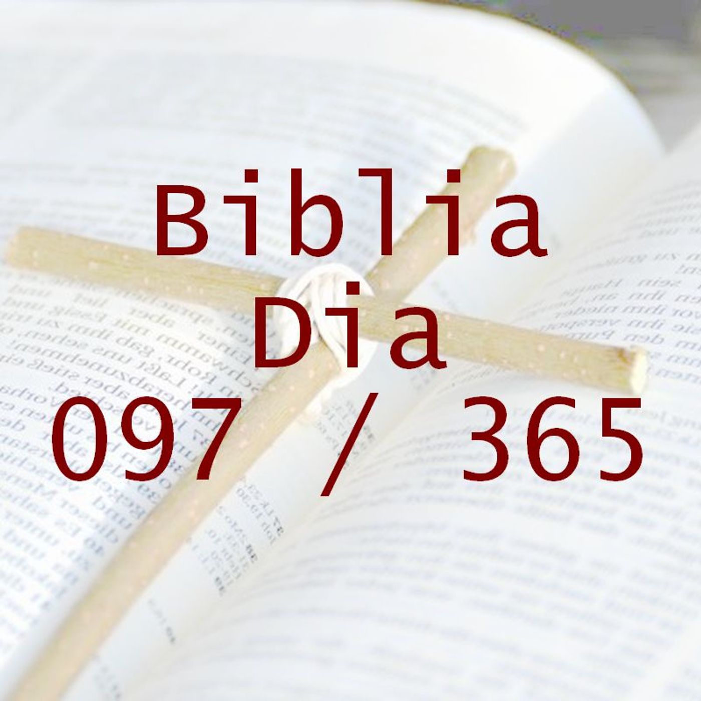 La Biblia en 365 dias