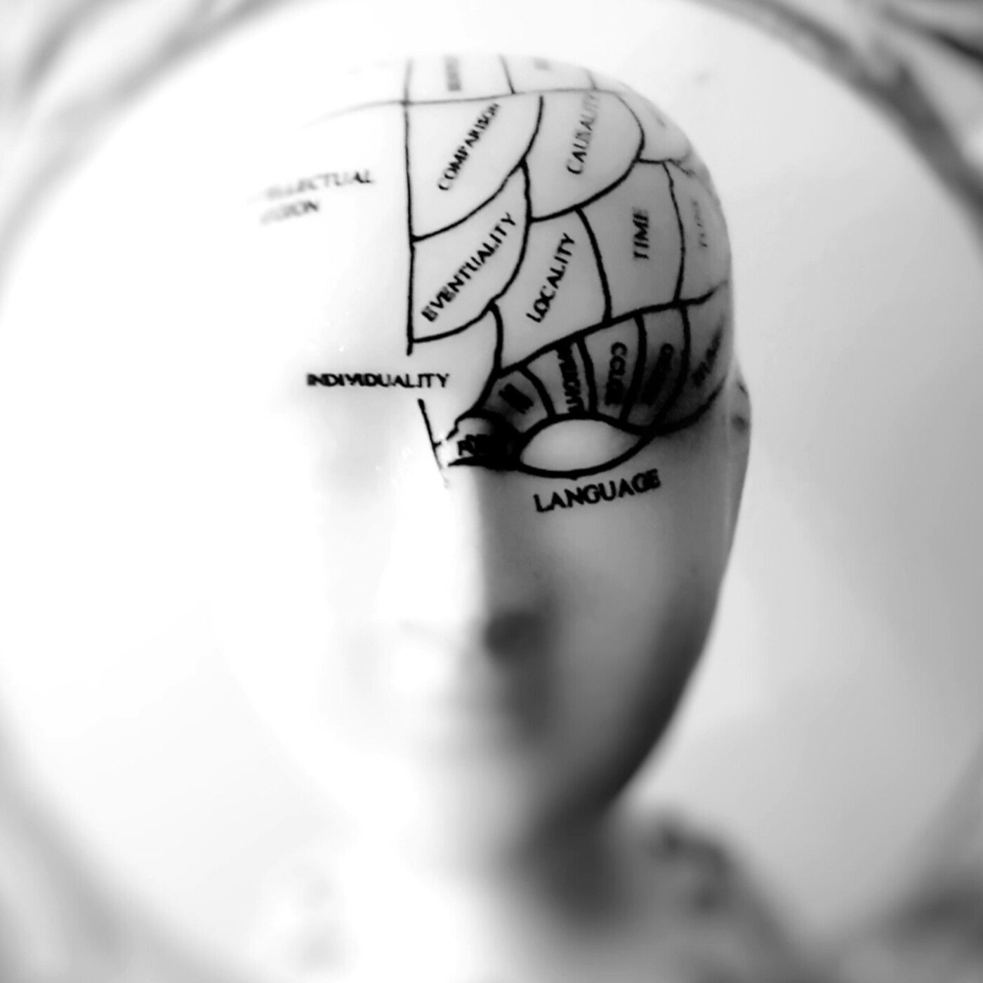 Biomúsica | Internidad