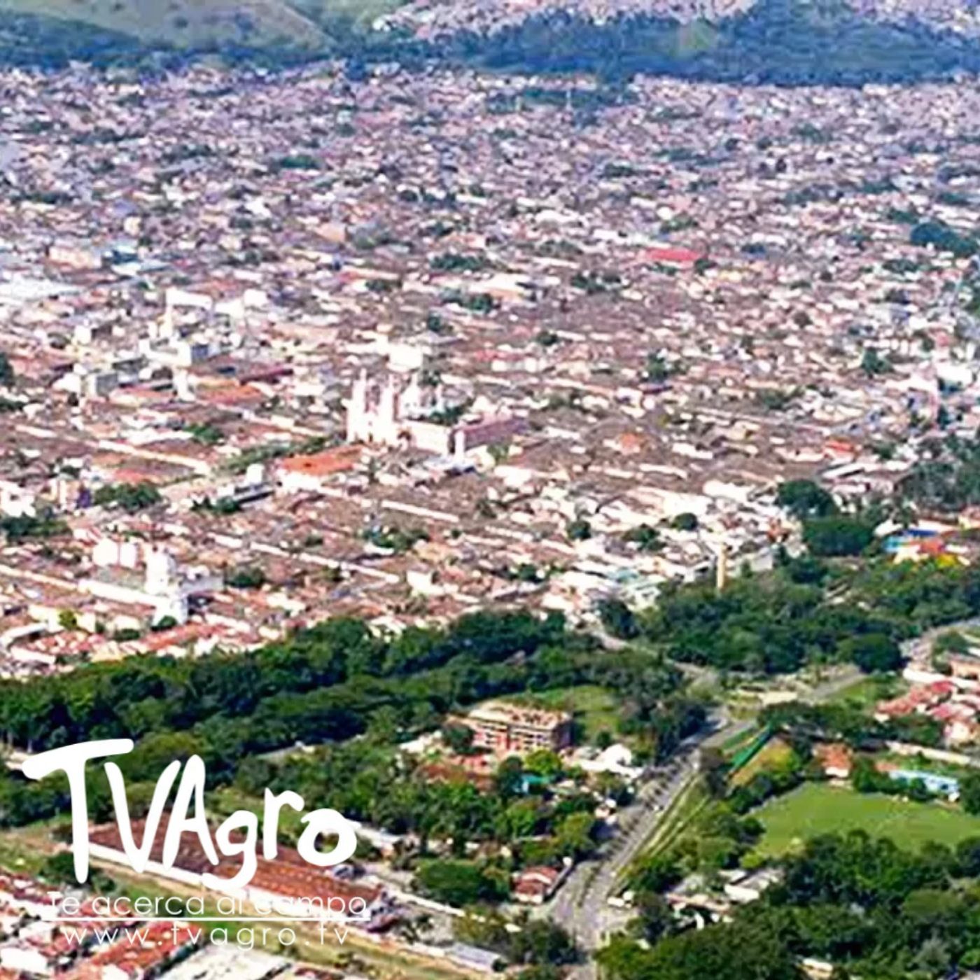 TV AGRO