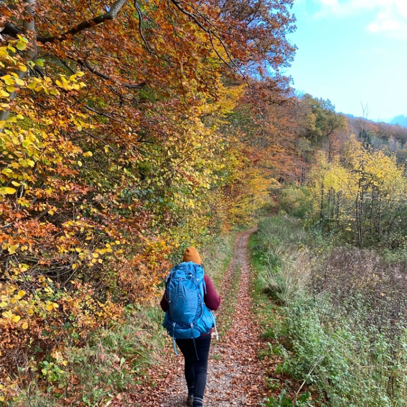 Vandring i Virkeligheden