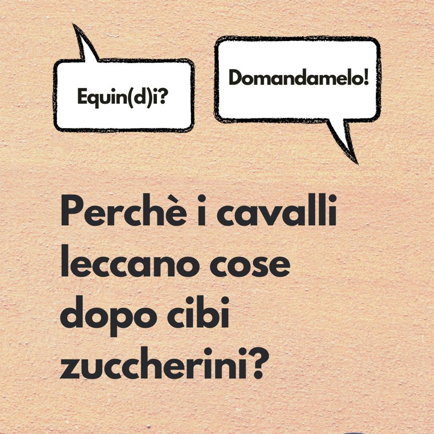 Etologia Equina, il comportamento del cavallo