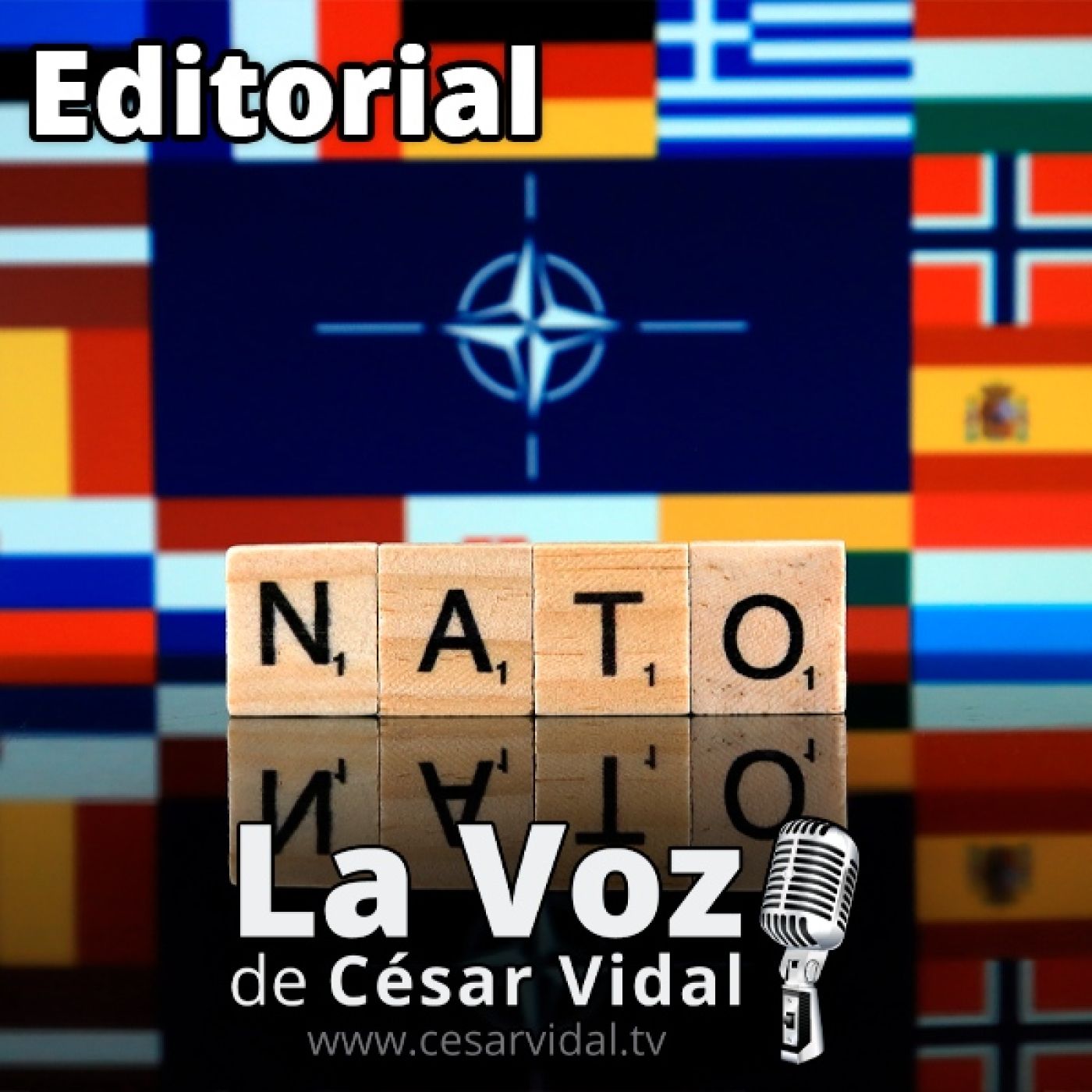 Editorial: ¿Ha cumplido la OTAN sus compromisos? - 04/03/25 episode artwork