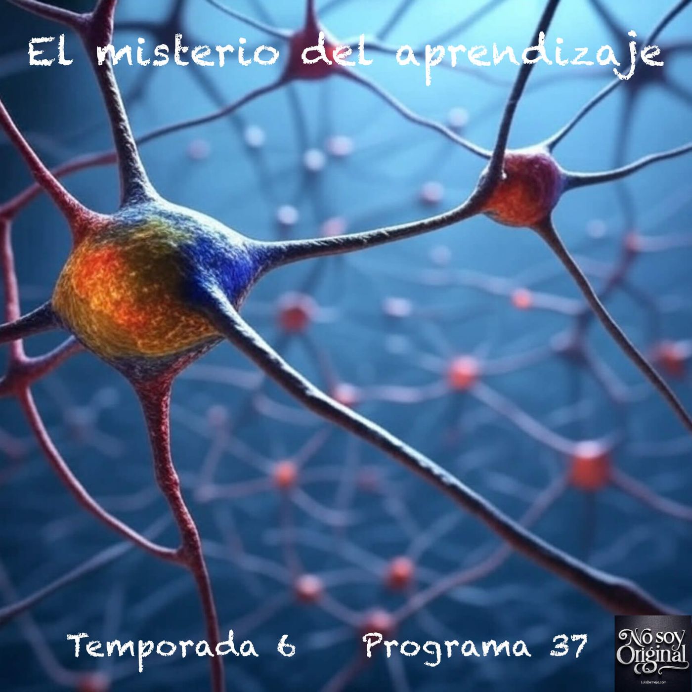 El misterio del aprendizaje