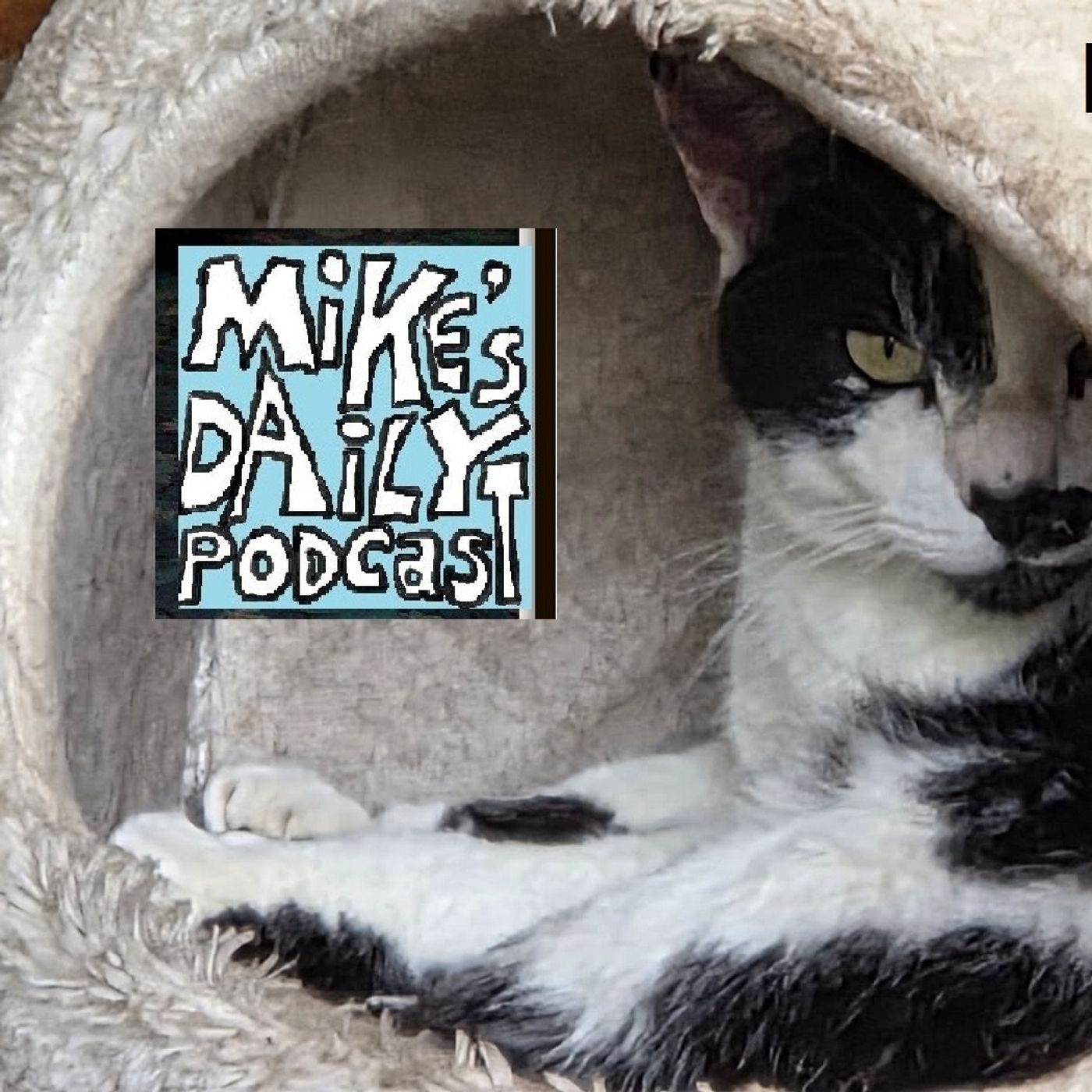 MikesDailyPodcast 3231 Privacy episode artwork