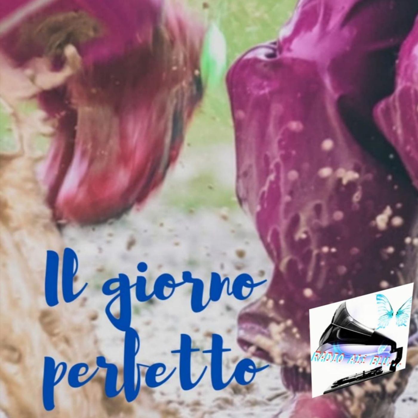 Radio Ali Blu... Il podcast delle emozioni!