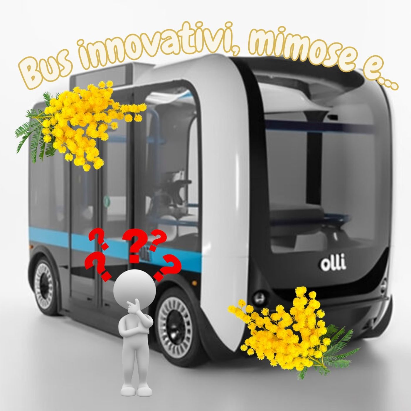 #Torino Perché proprio le mimose?