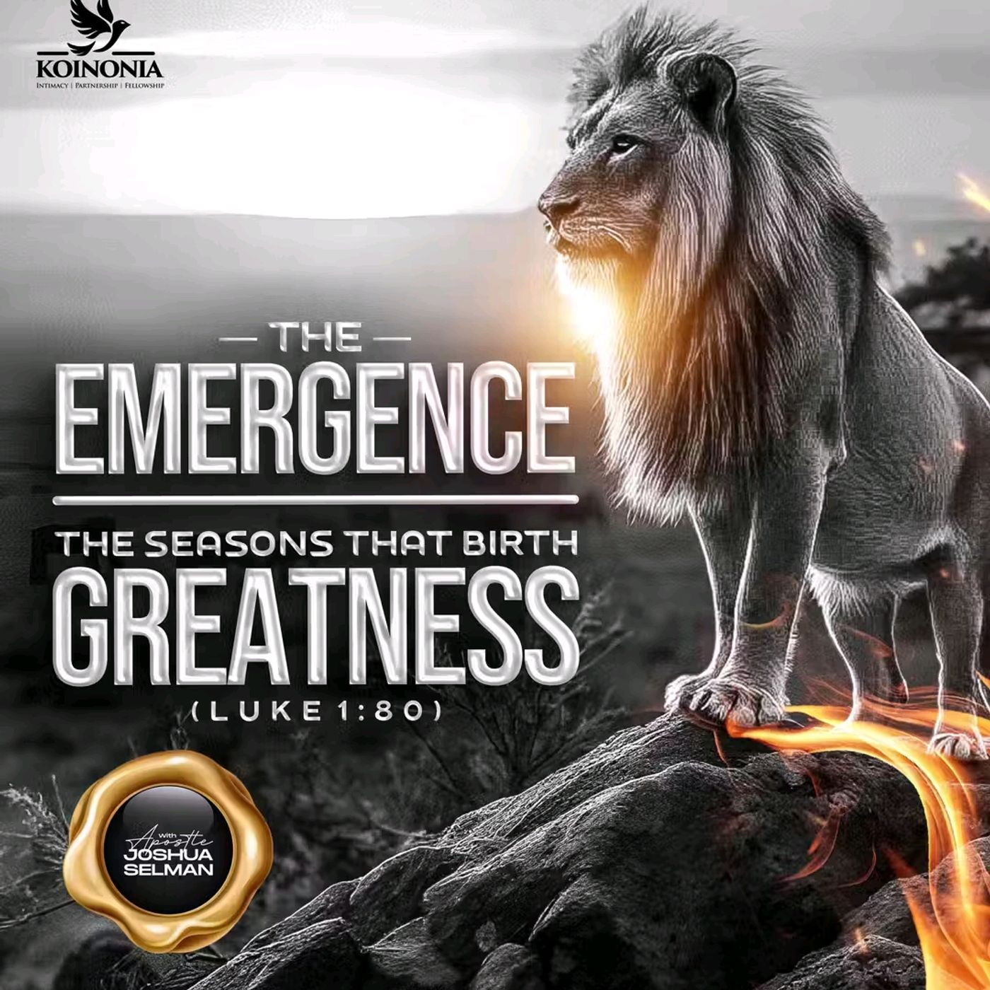 THE EMERGENCE (THE SEASONS THAT BIRTH GREATNESS ) LUKE 1;80 WITH APOSTLE JOSHUA SELMAN