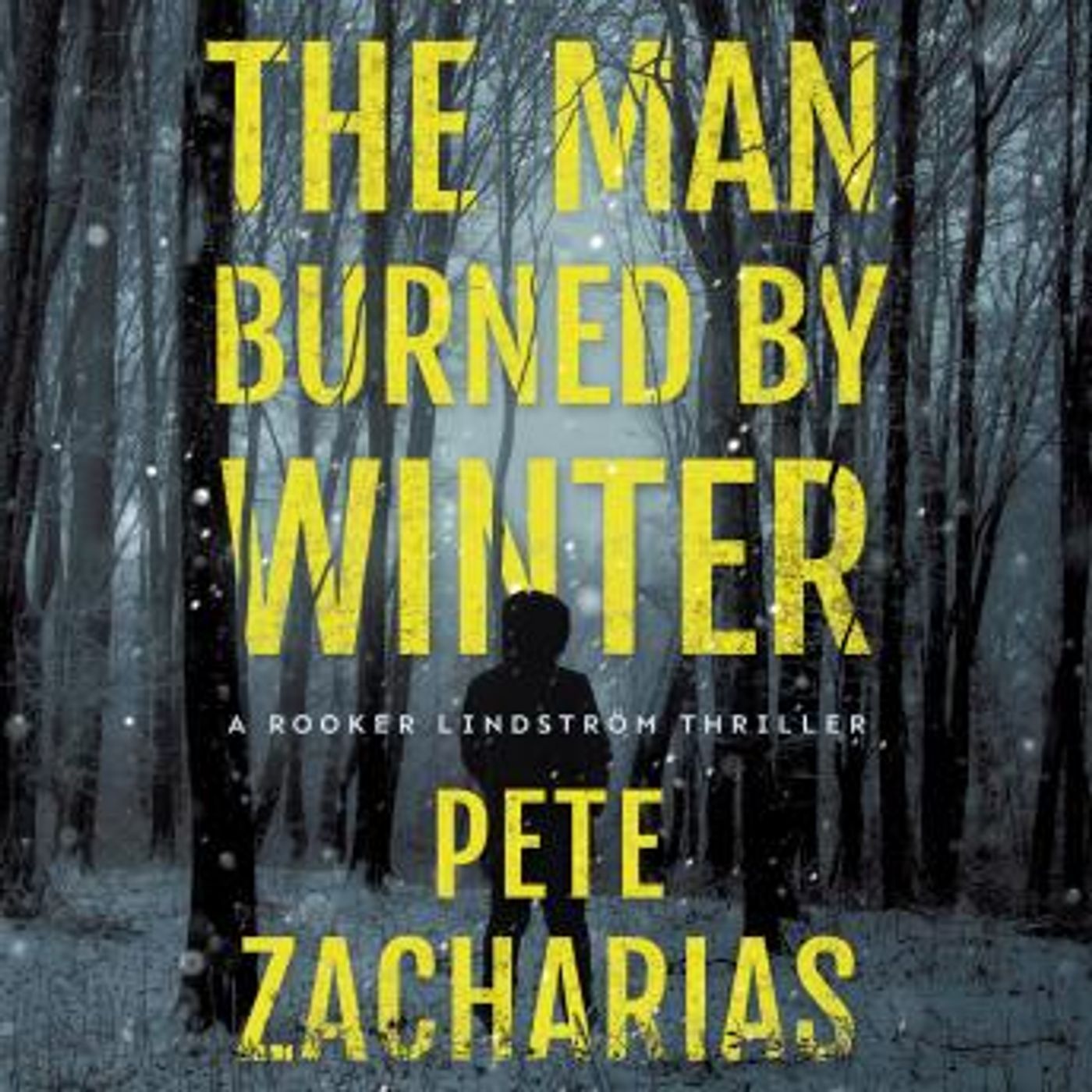 Download Best Full-Length Audiobooks in Mystery, Thriller & Horror, Police & Detective