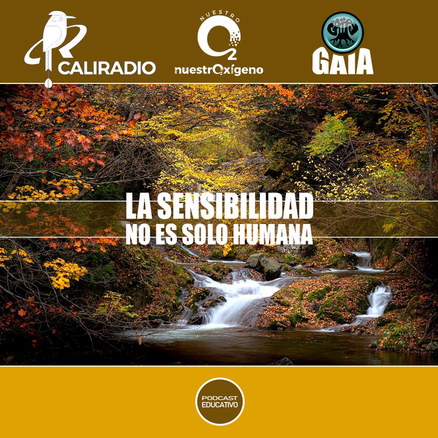 NUESTRO OXIGENO La sensibilidad no es solo humana (Arboles) episode artwork