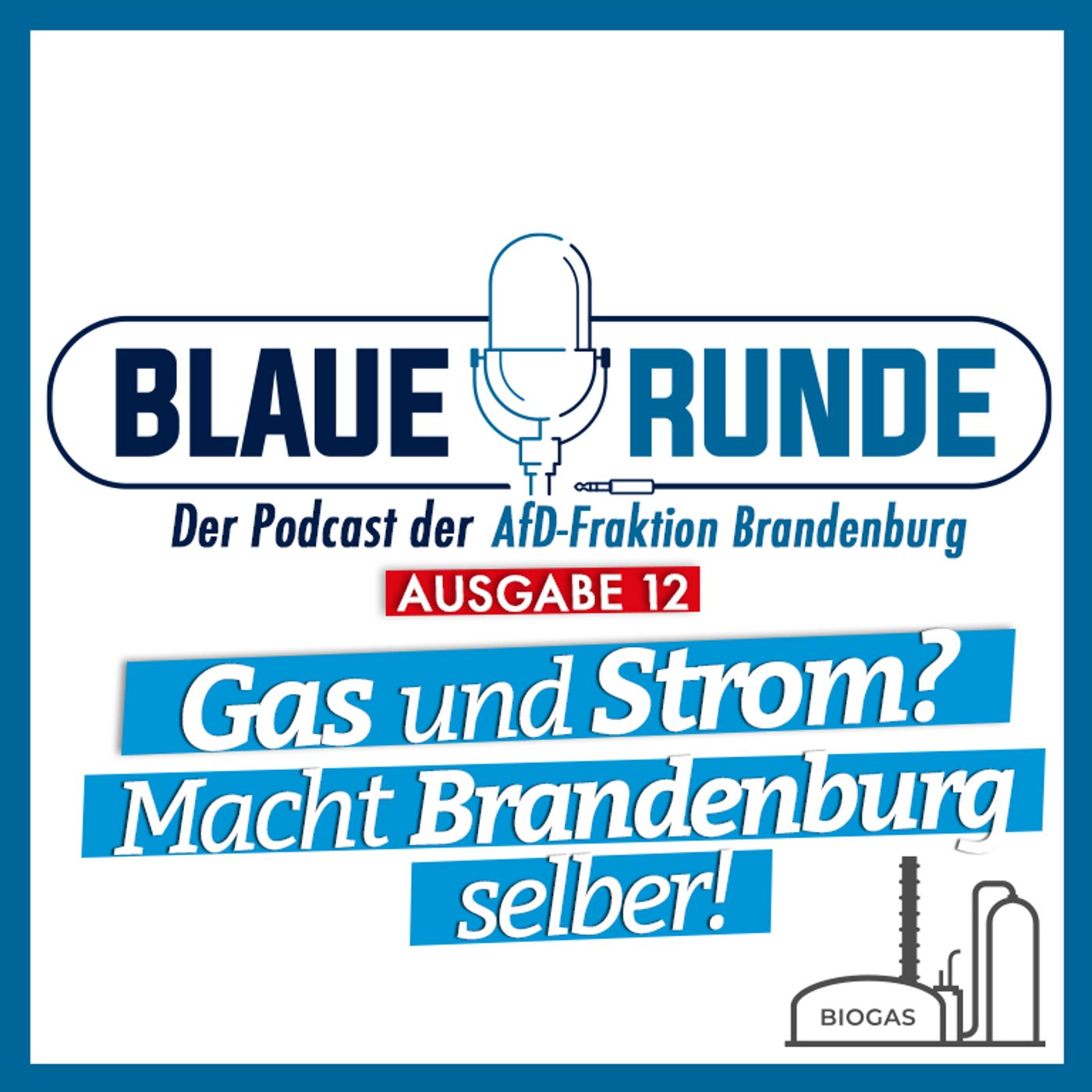 Gas und Strom? Macht Brandenburg selber! | Die Blaue Runde, Ausgabe 12/23 vom 31.01.2023 episode artwork