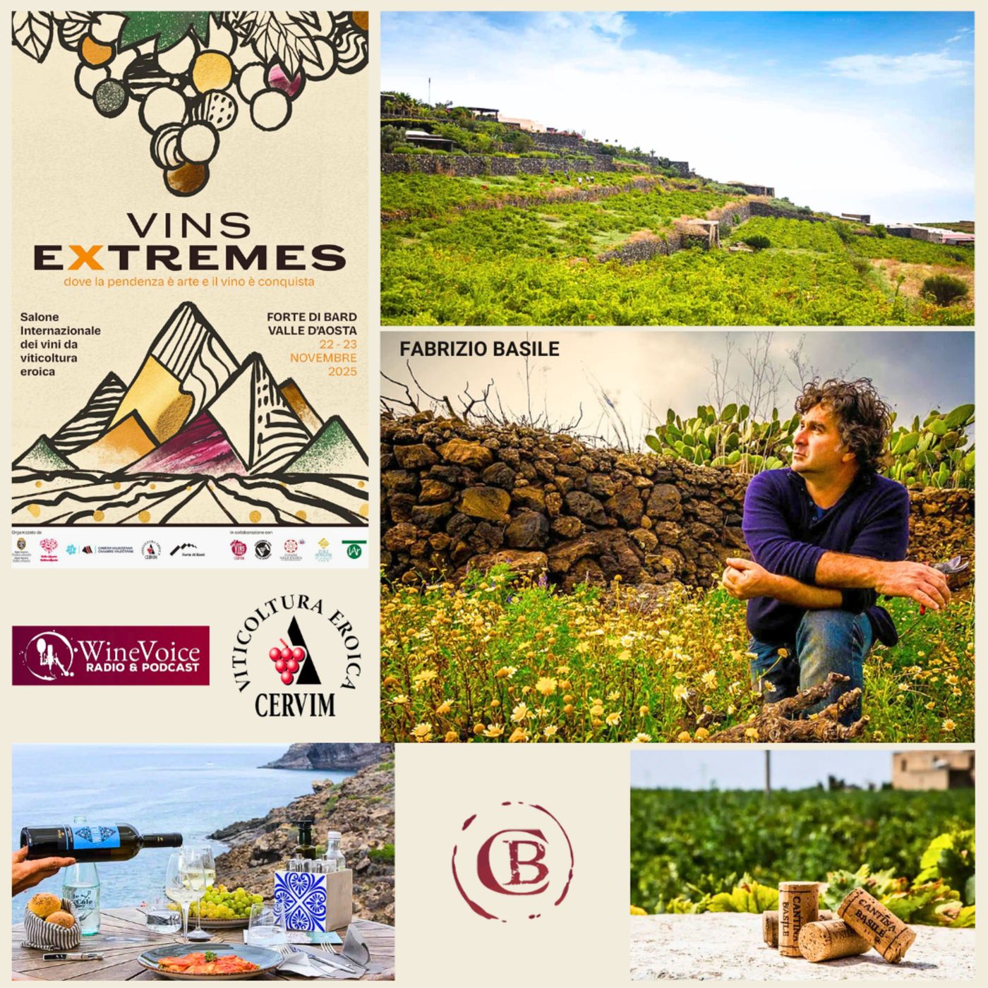 Le Terre del Vino: VINS EXTREMES - FABRIZIO BASILE, da Pantelleria Tradizioni tenaci e forti emozioni! episode artwork