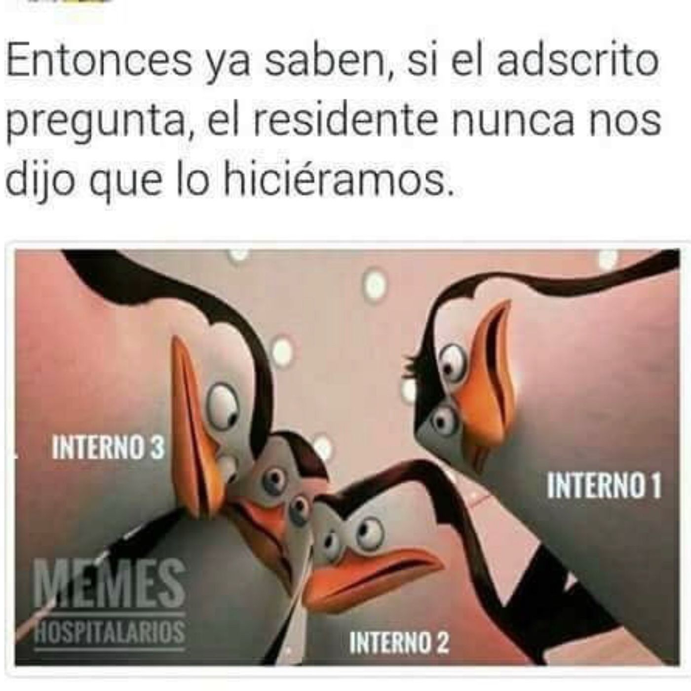 El podcast de watermelon