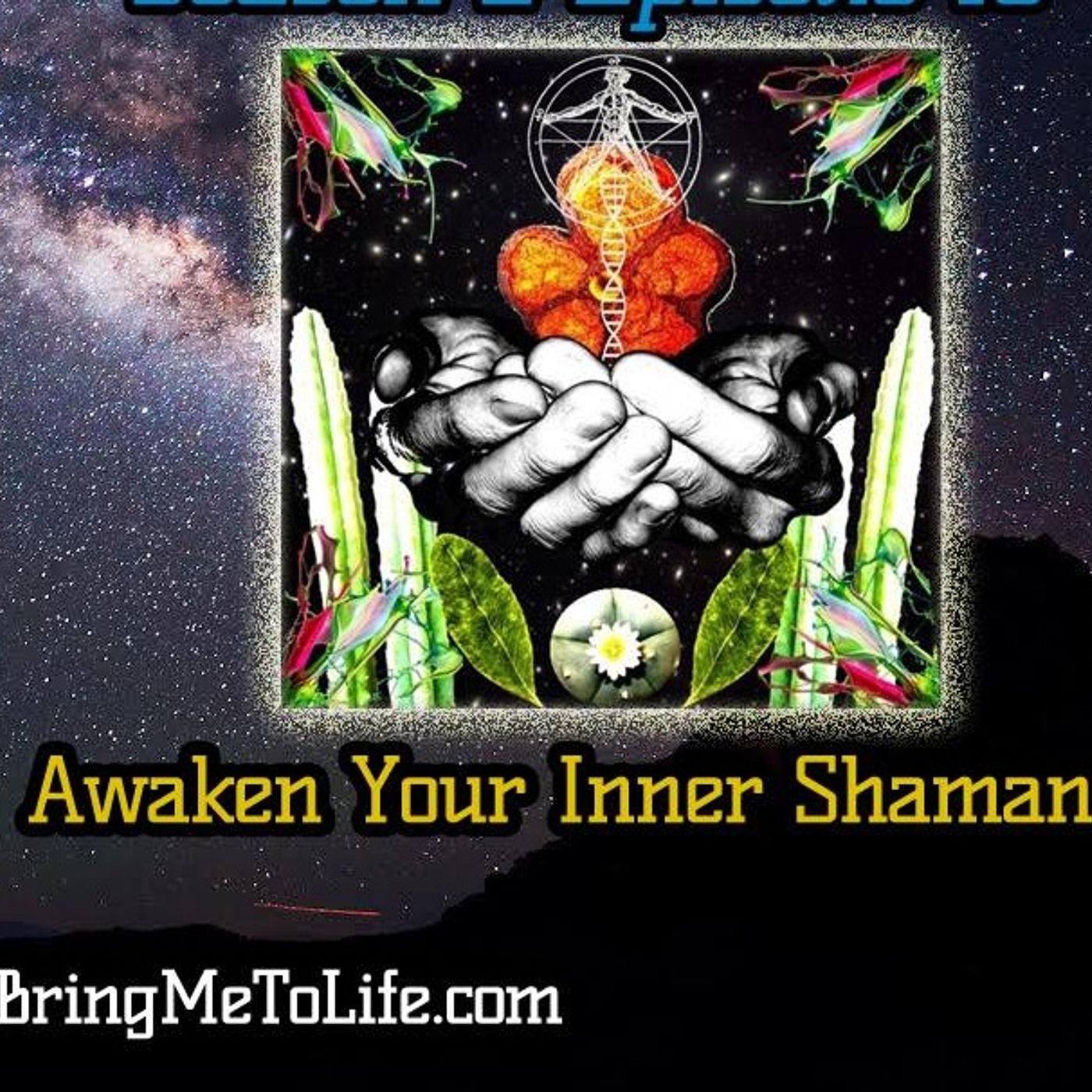 Ep. 61 Awakening Our Inner Shaman episode artwork
