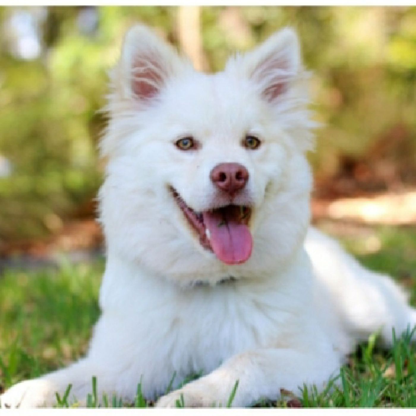 Reflexiones De Restauracion Para Tu Alma