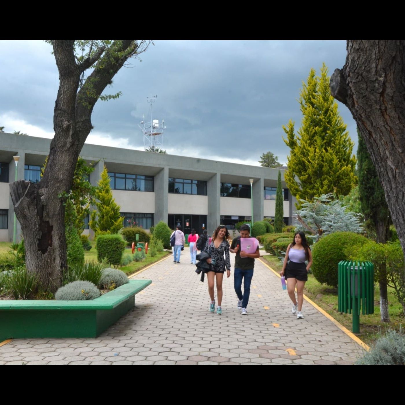 Peligrosa.mx ObjetivoAM Noticias