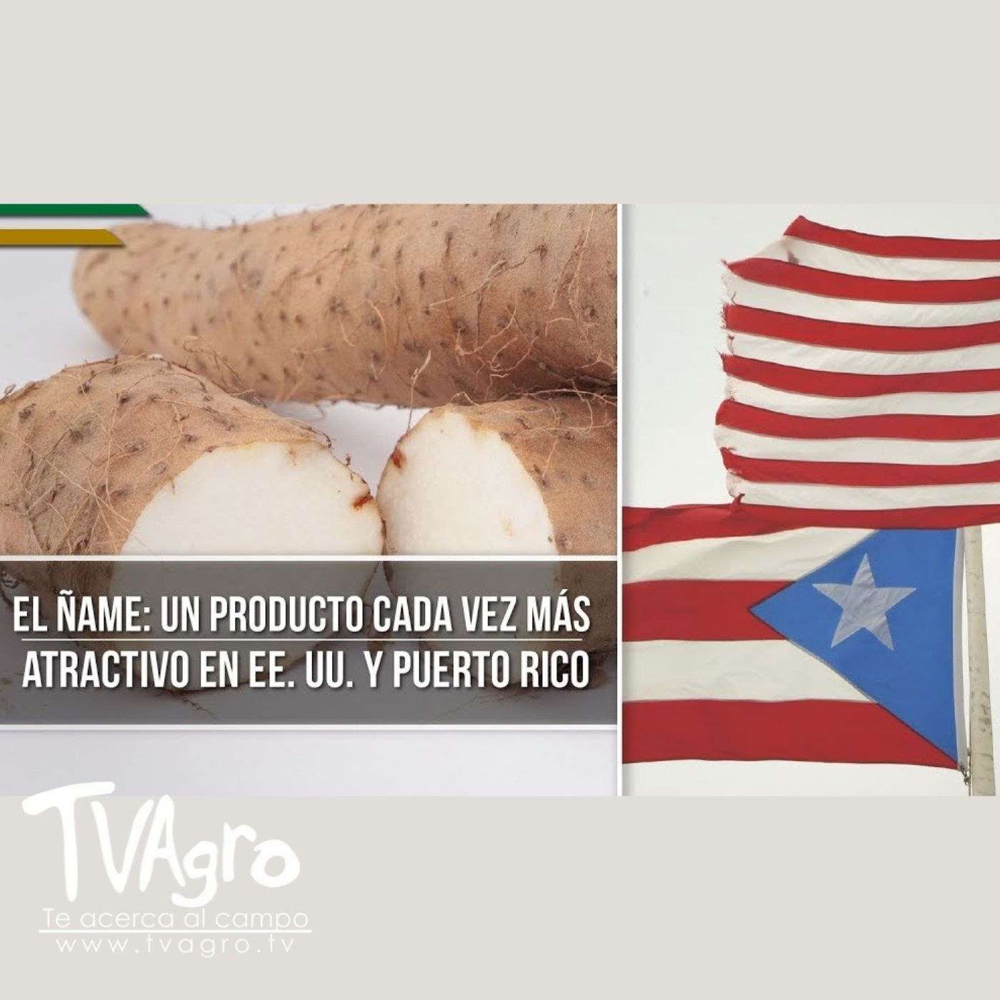 TV AGRO