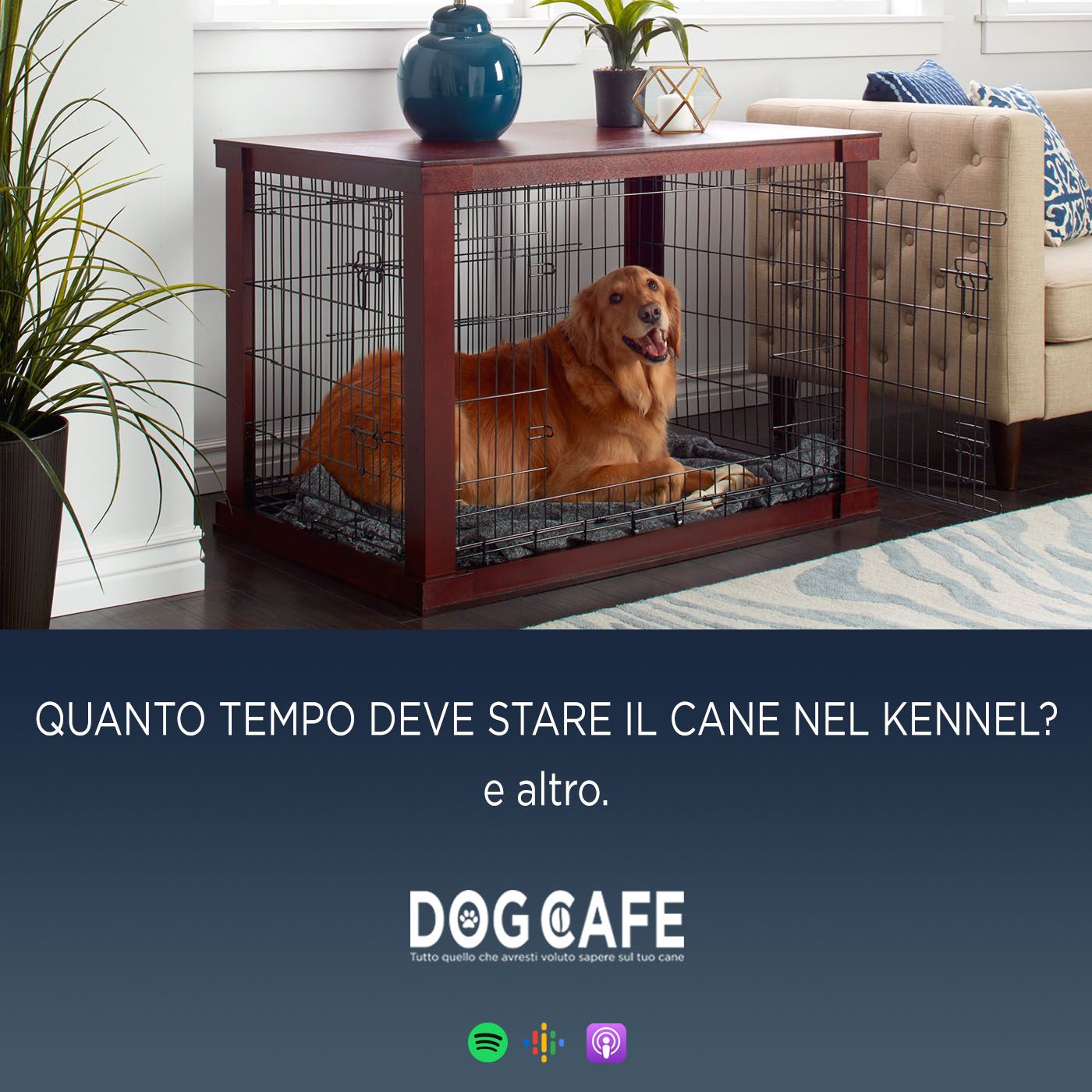 Dog Cafe Podcast