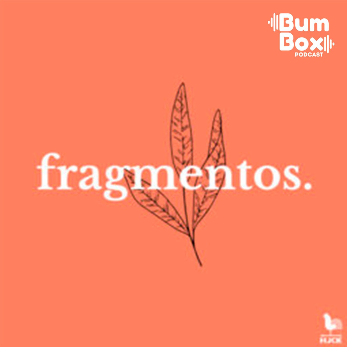 fragmentos.