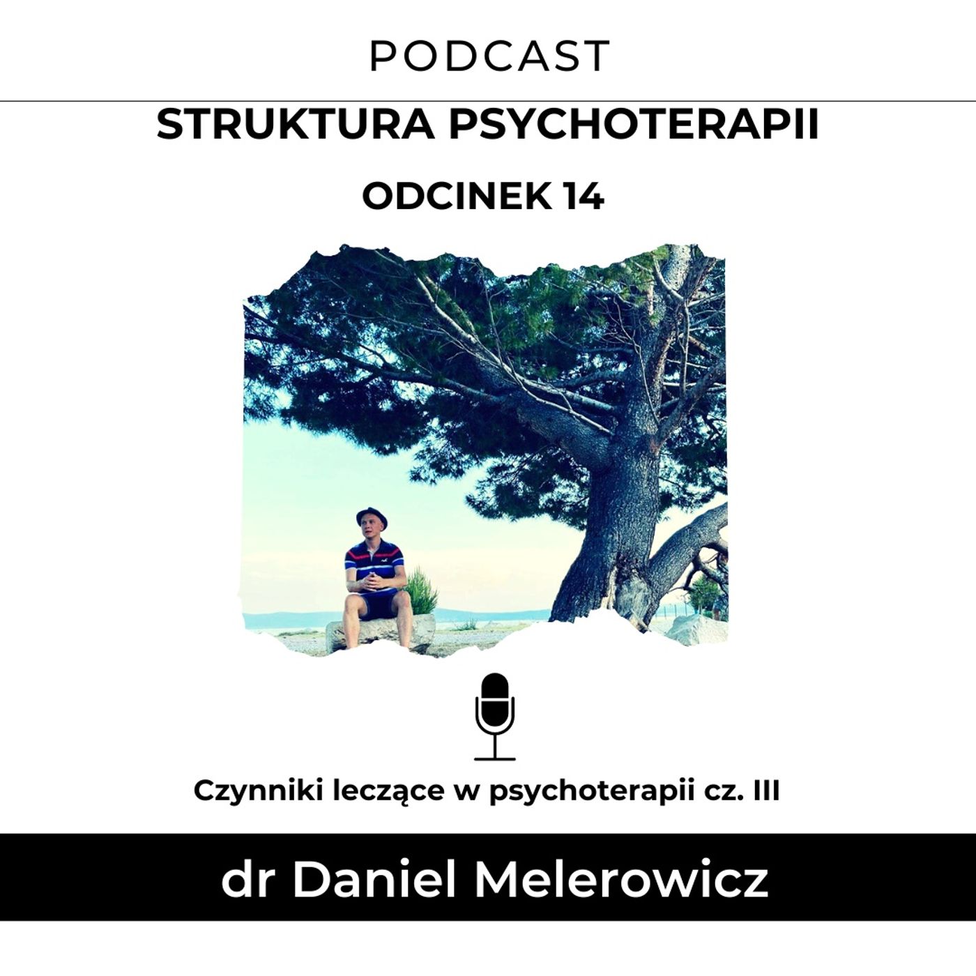 Struktura Psychoterapii