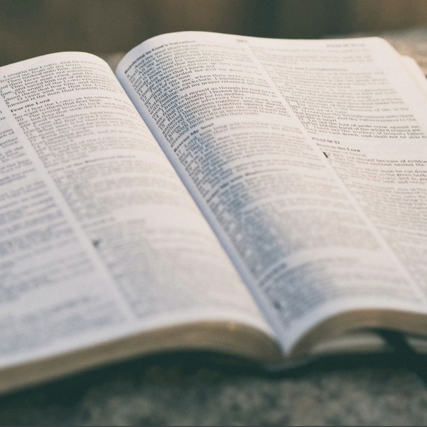 2nd Samuel chapter 15