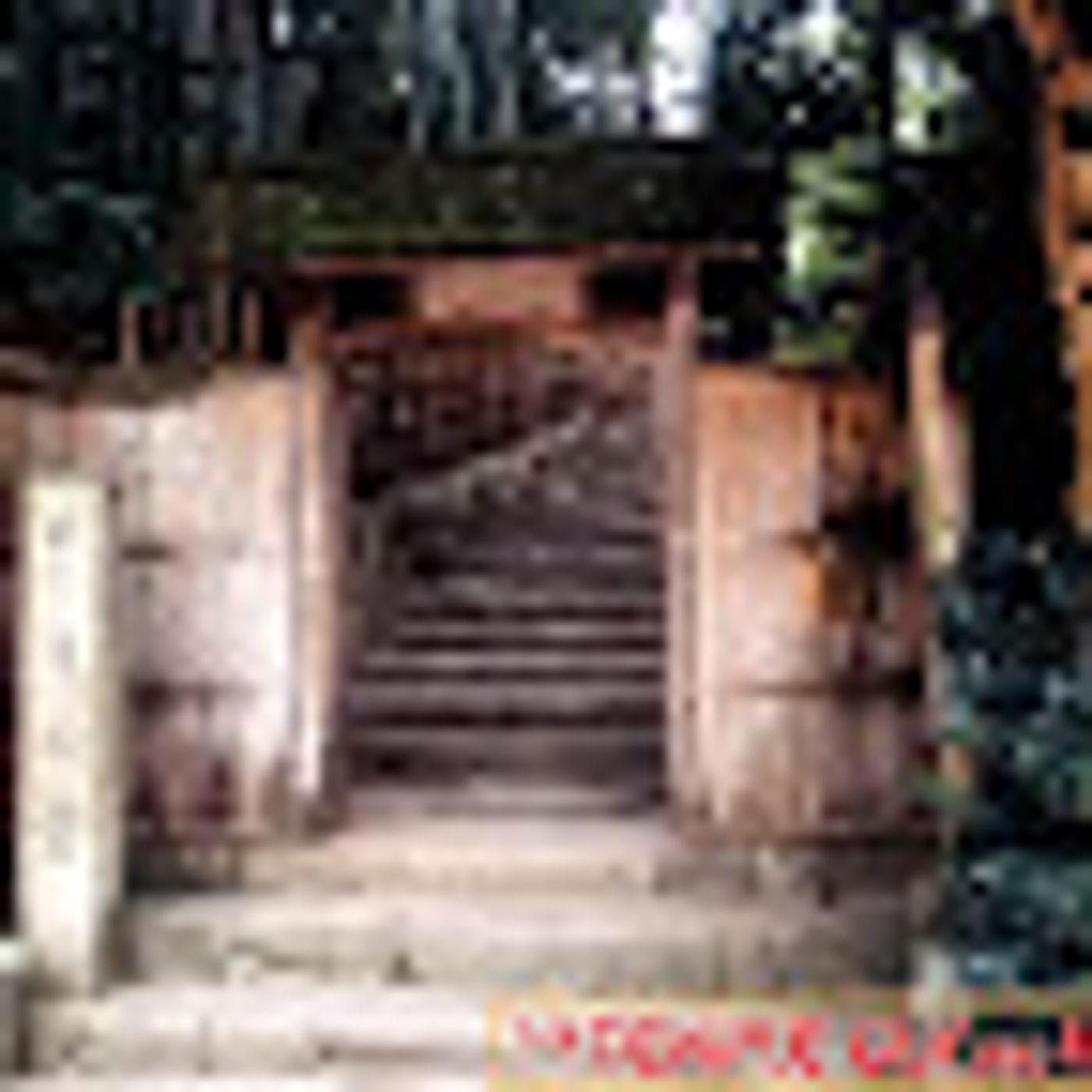 Temple Tales Newsletter and Podcast