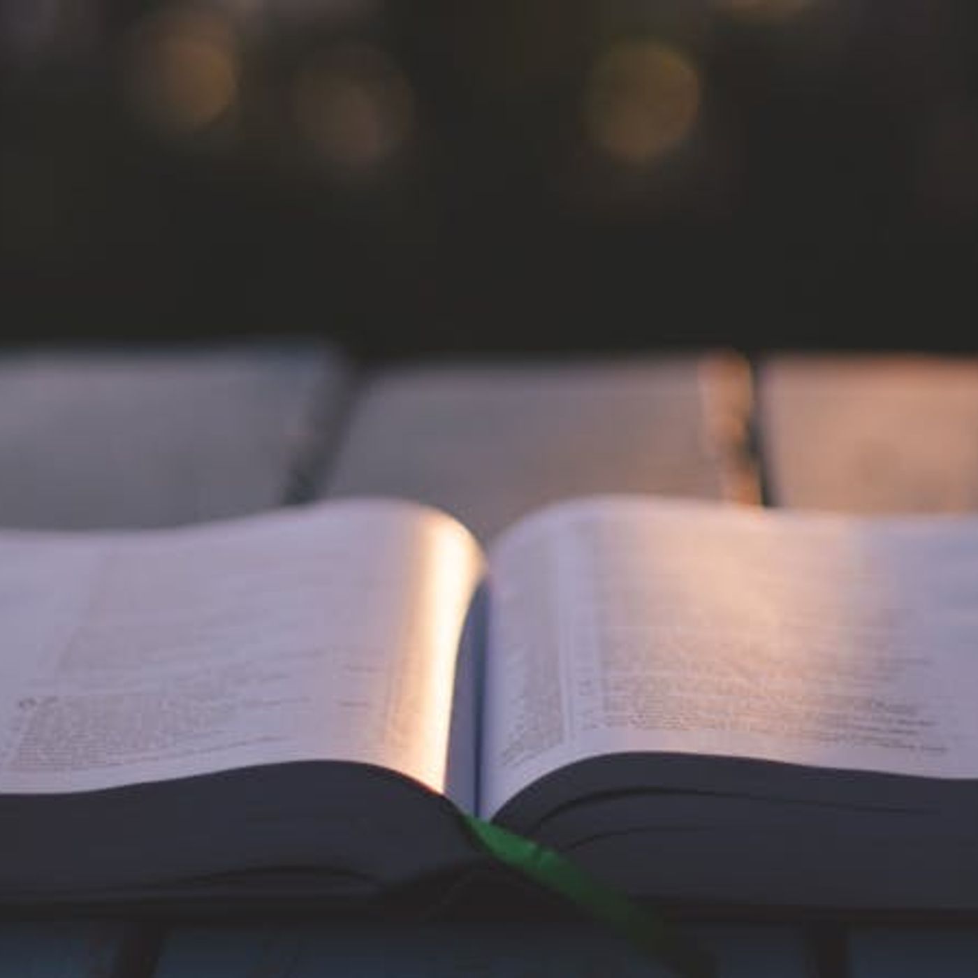 How Can I Make Daily Bible Reading Authentic?