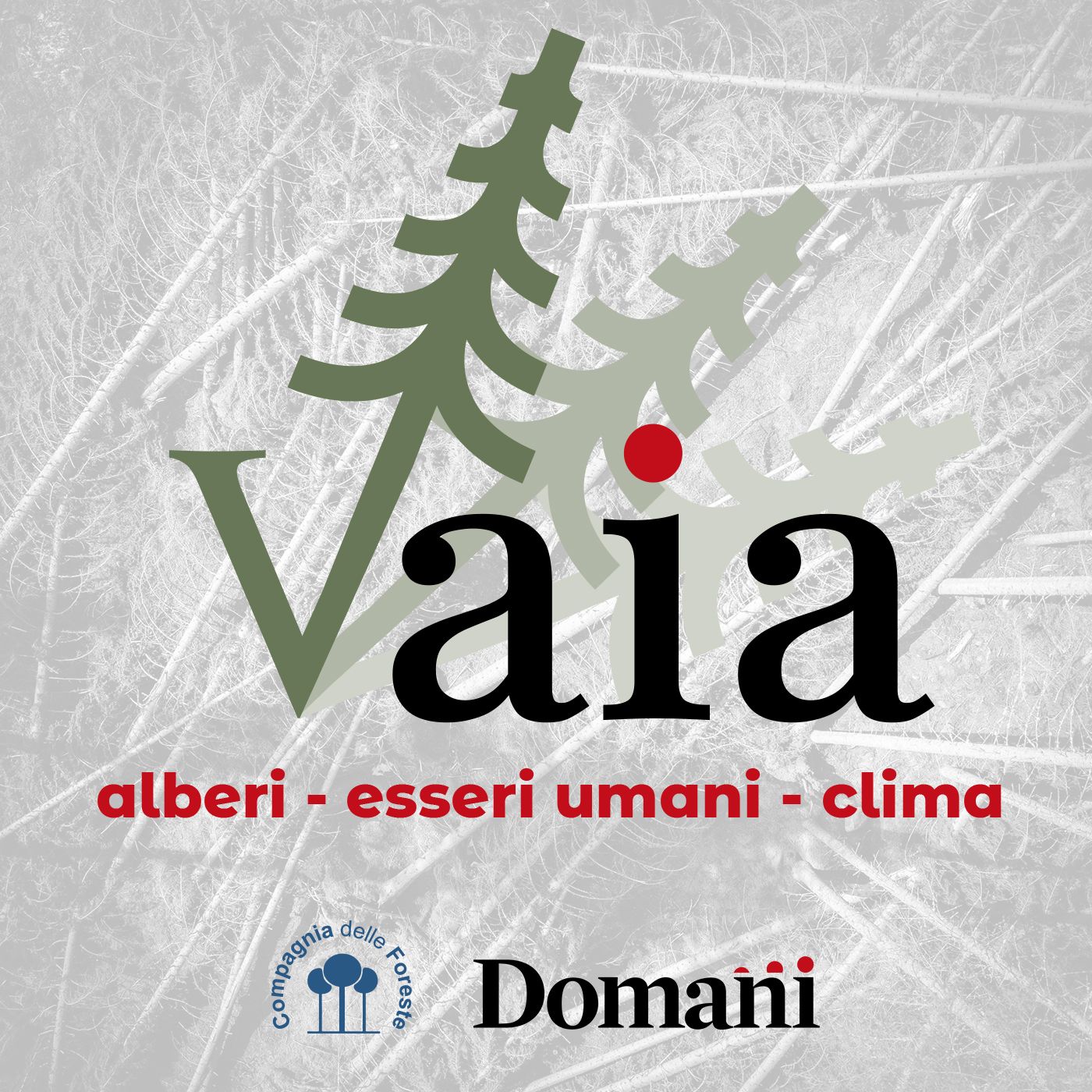 VAIA - alberi, esseri umani, clima