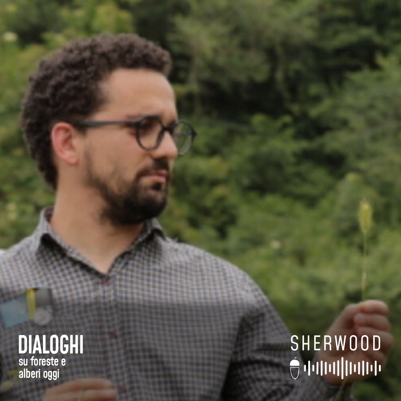 Dialoghi su foreste e alberi oggi