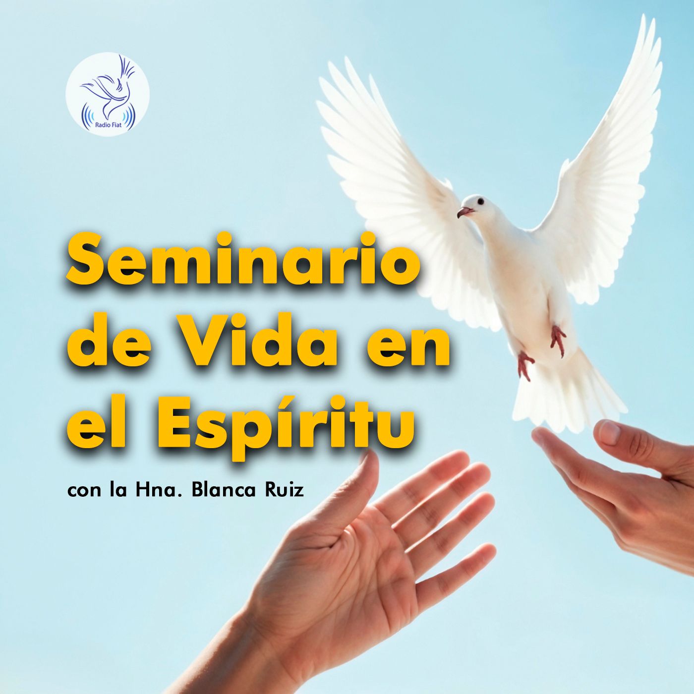 Escucha a Dios - Seminario de vida en el Espíritu 04 La conversión episode artwork