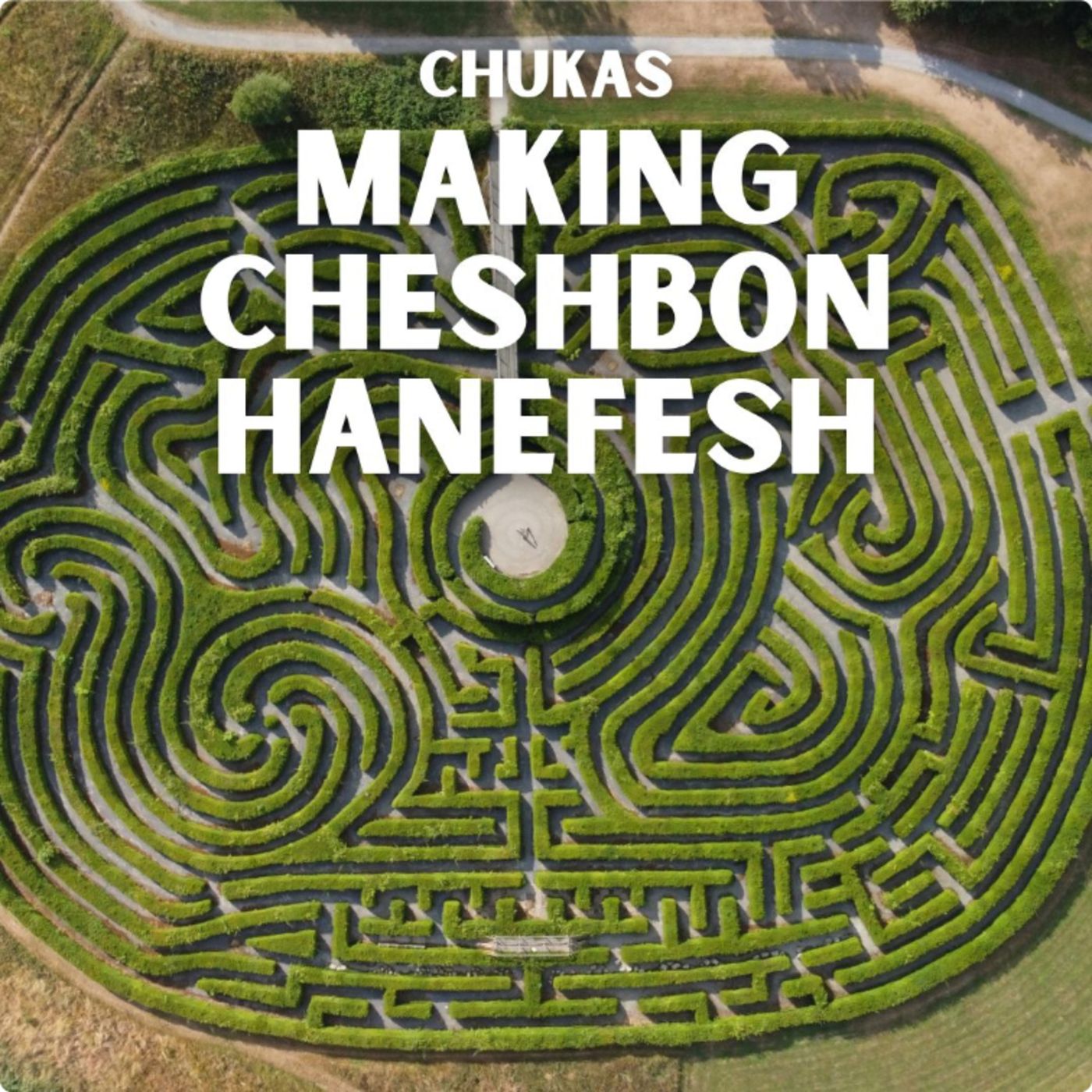 Chukas - Making a Cheshbon Hanefesh episode artwork