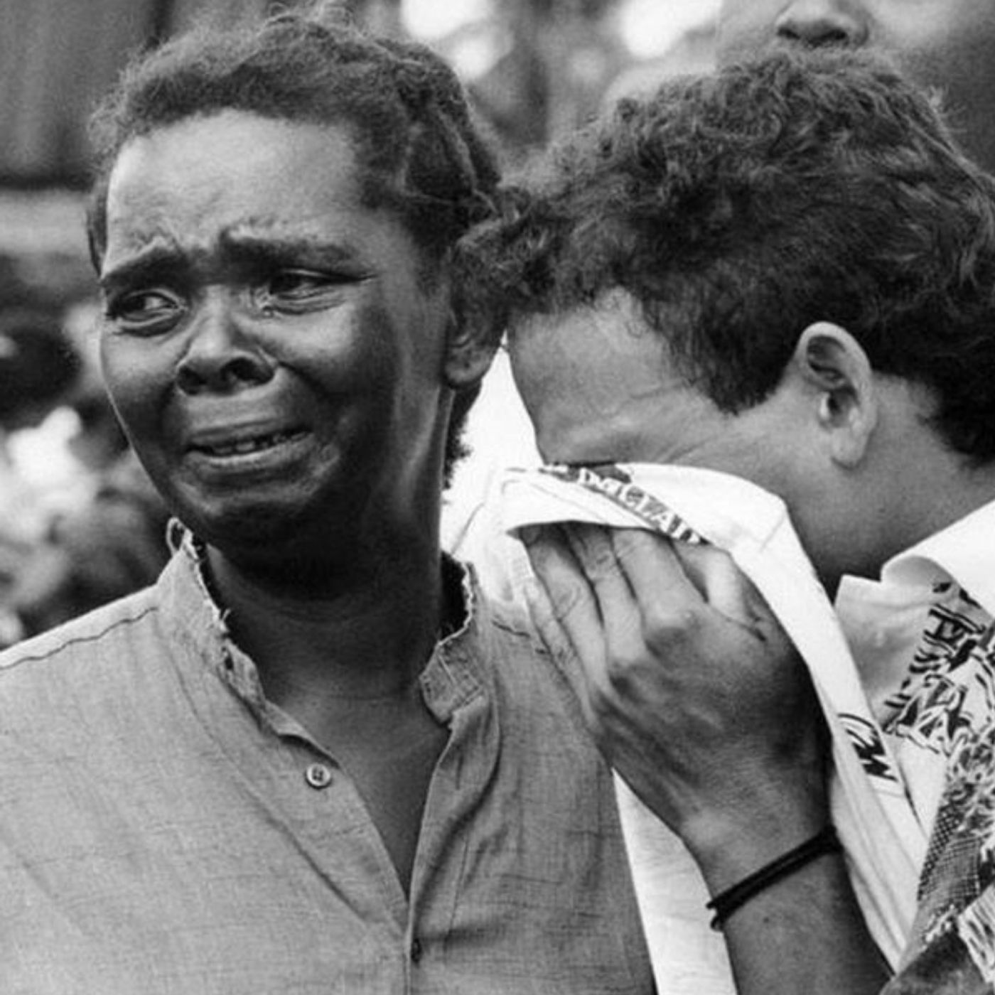 Una mirada a la realidad