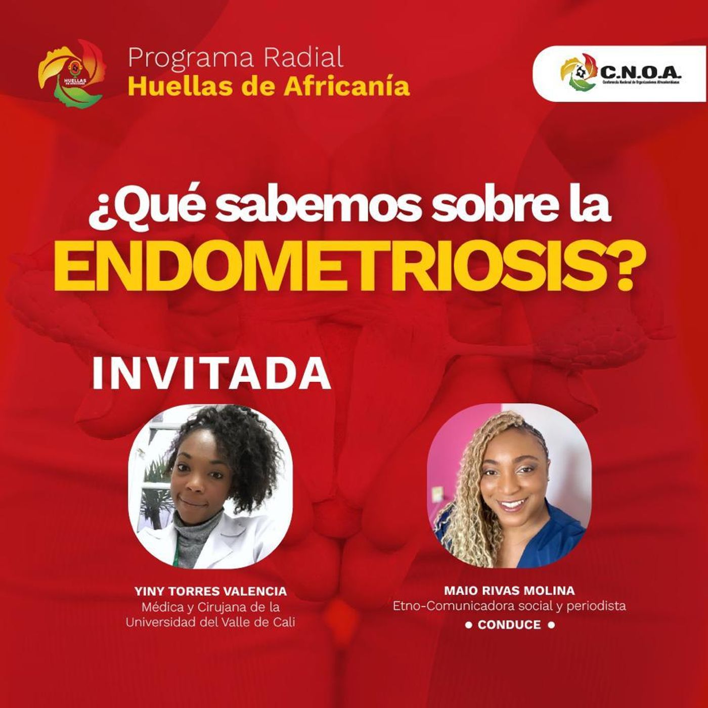 ¿Qué sabemos sobre la endometriosis?