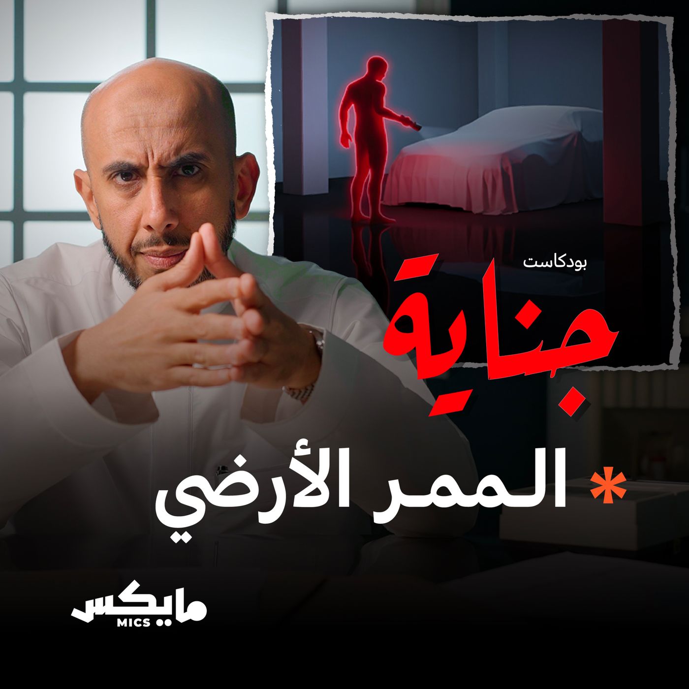 الممر الأرضي