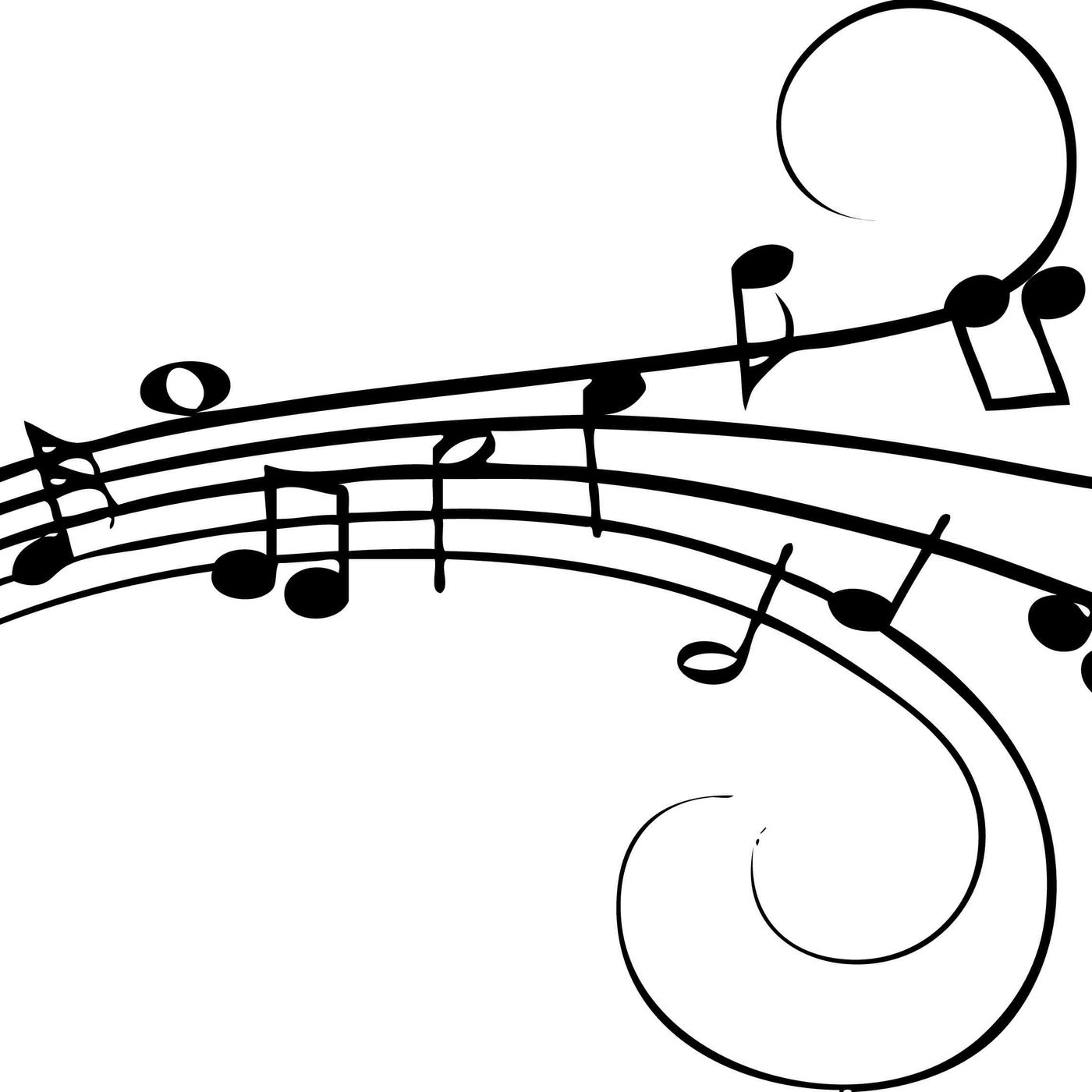 Episode 11 - Interview with Erik Hermann