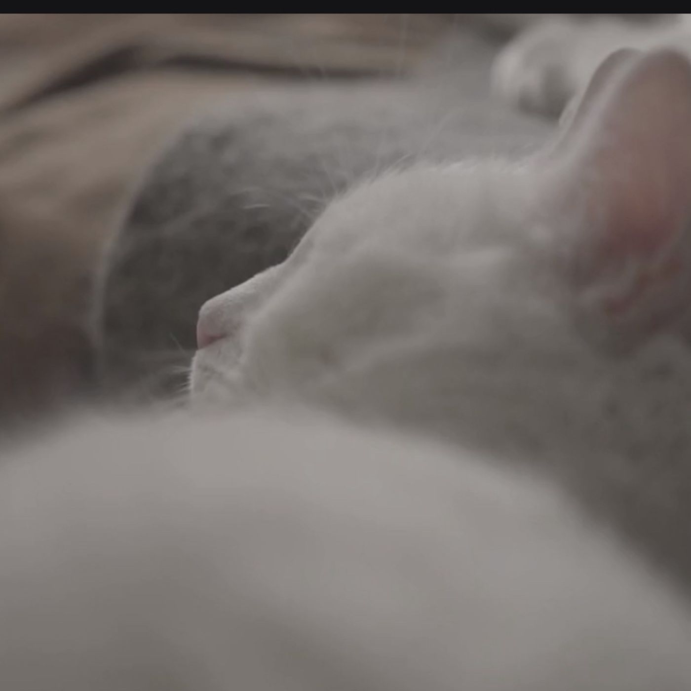 S57E15: Are We Totalling Unconscious When We’re Asleep
