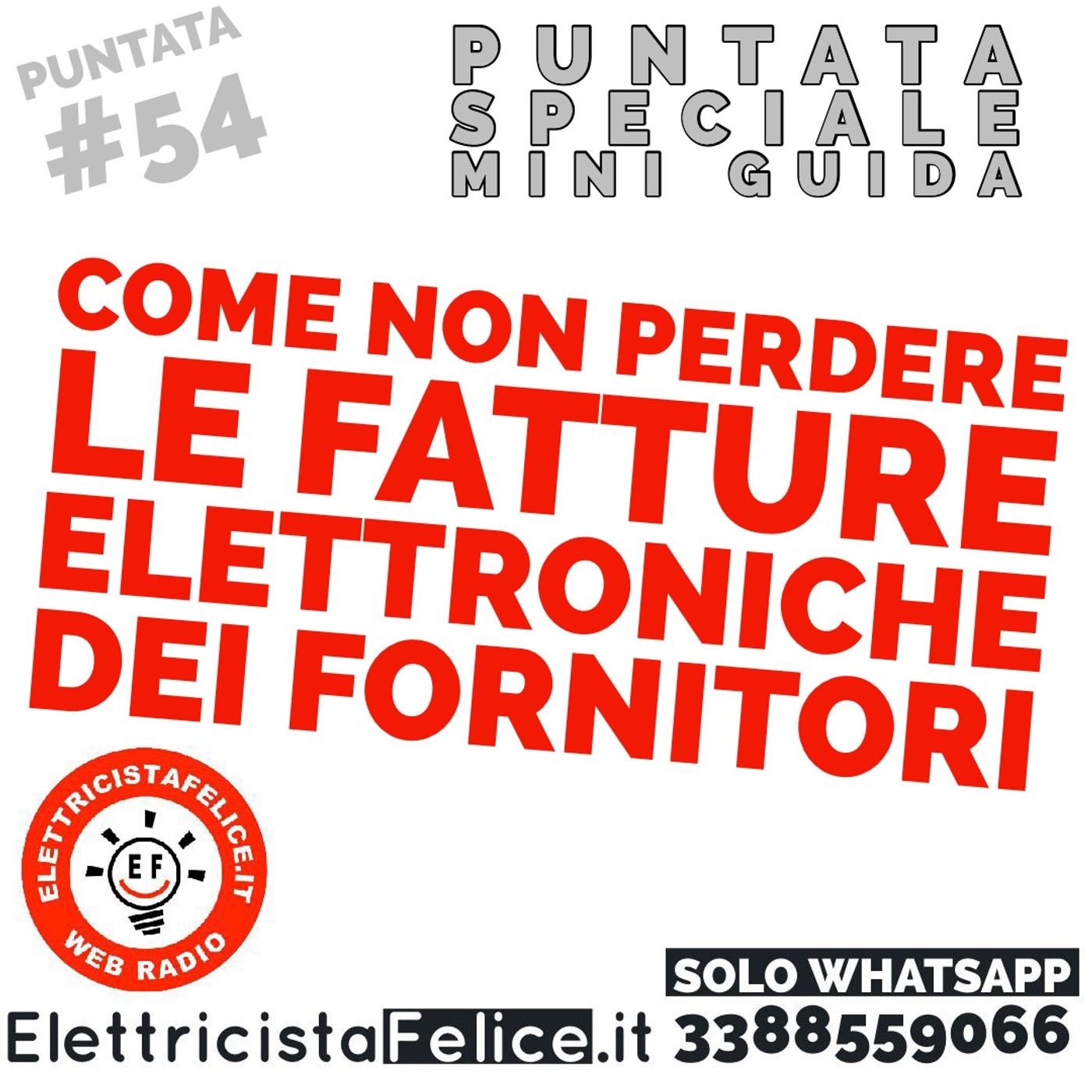#54 Come comunicare il tuo codice destinatario (codice univoco o codice sdi) all'Agenzia delle Entrate